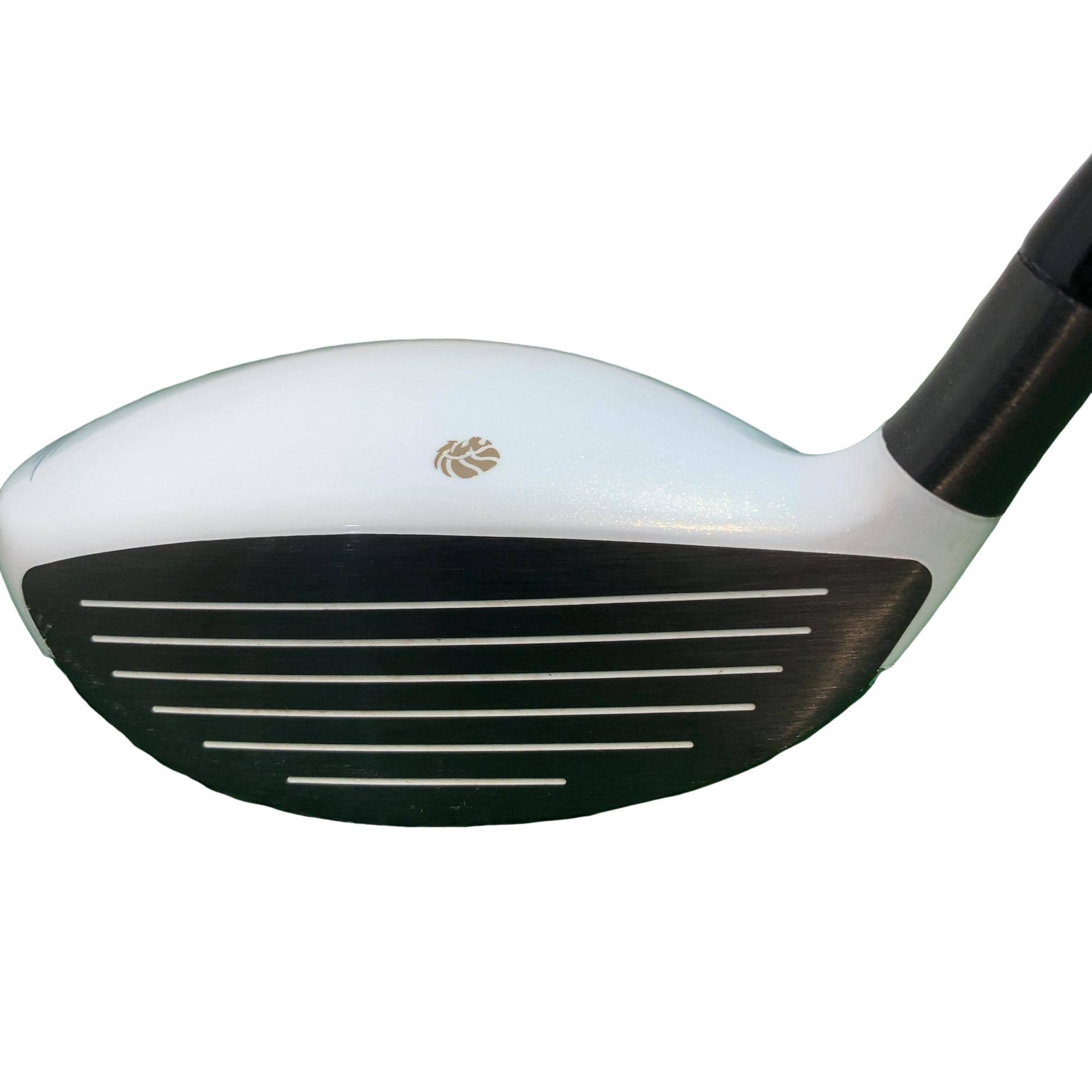 �f�k�n�h�q�d�@�e�@�R�v