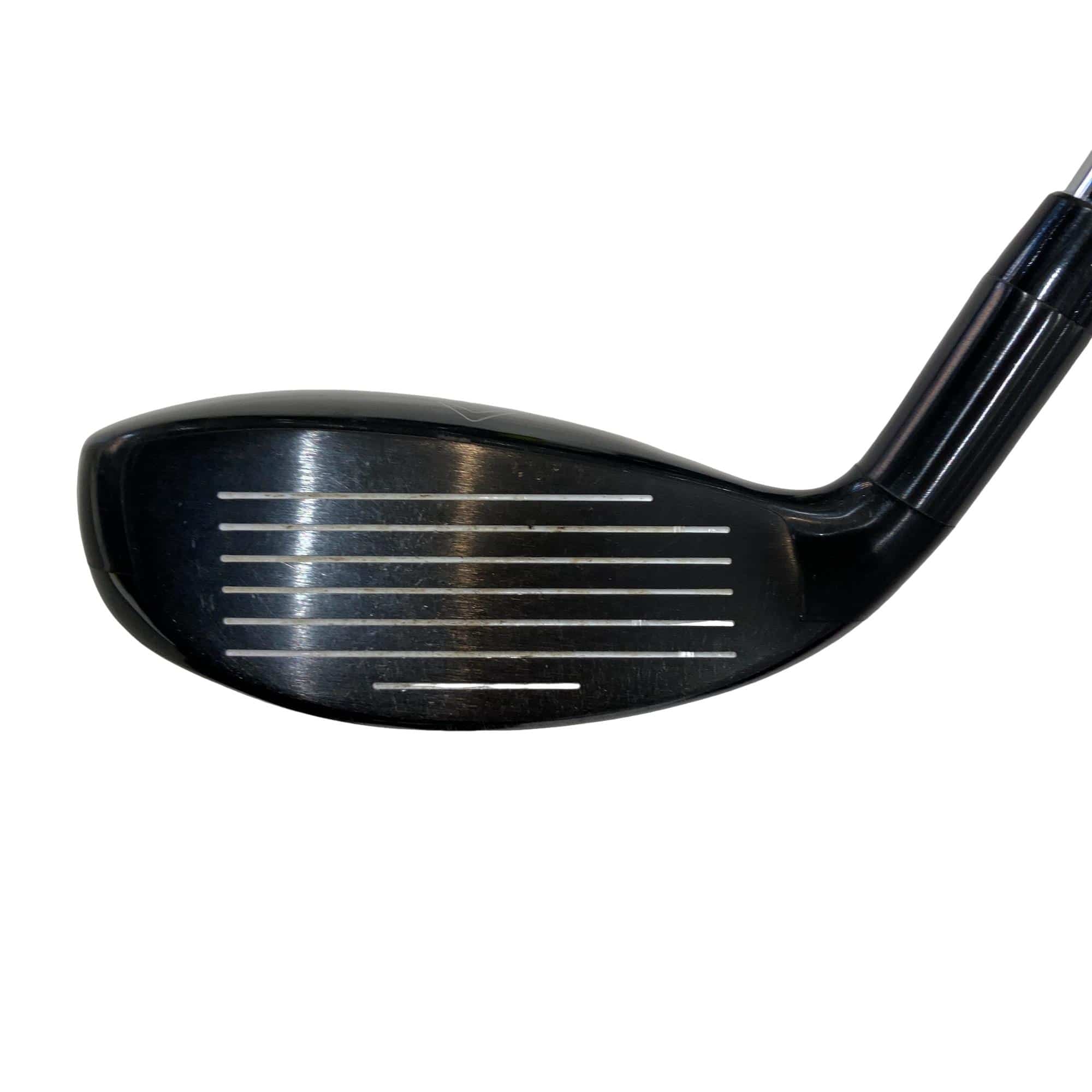 �w�Q�@�g�n�s�@�t�R