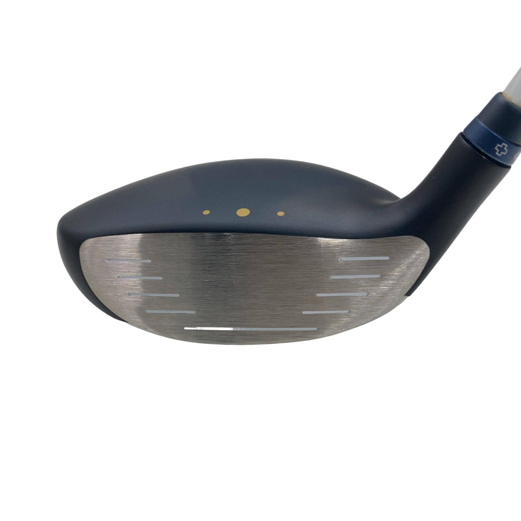 �f�@�k���R�@�R�v�@���f�B�[�X