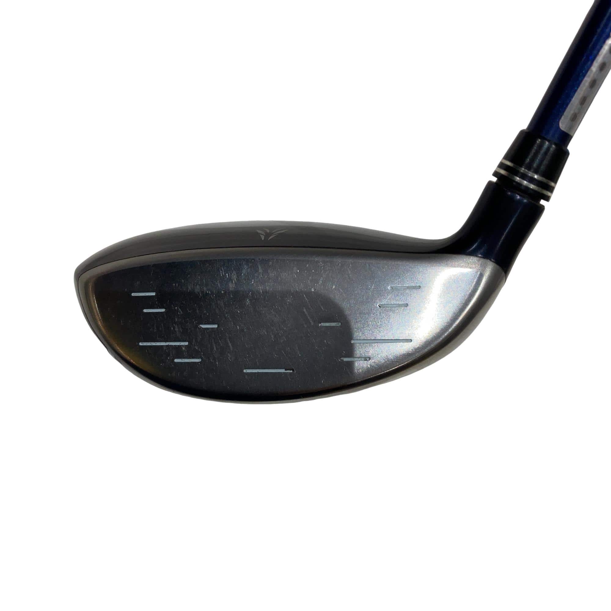 �w�w�h�n�i�Q�O�P�U�j�@�R�v�@���f�B�[�X