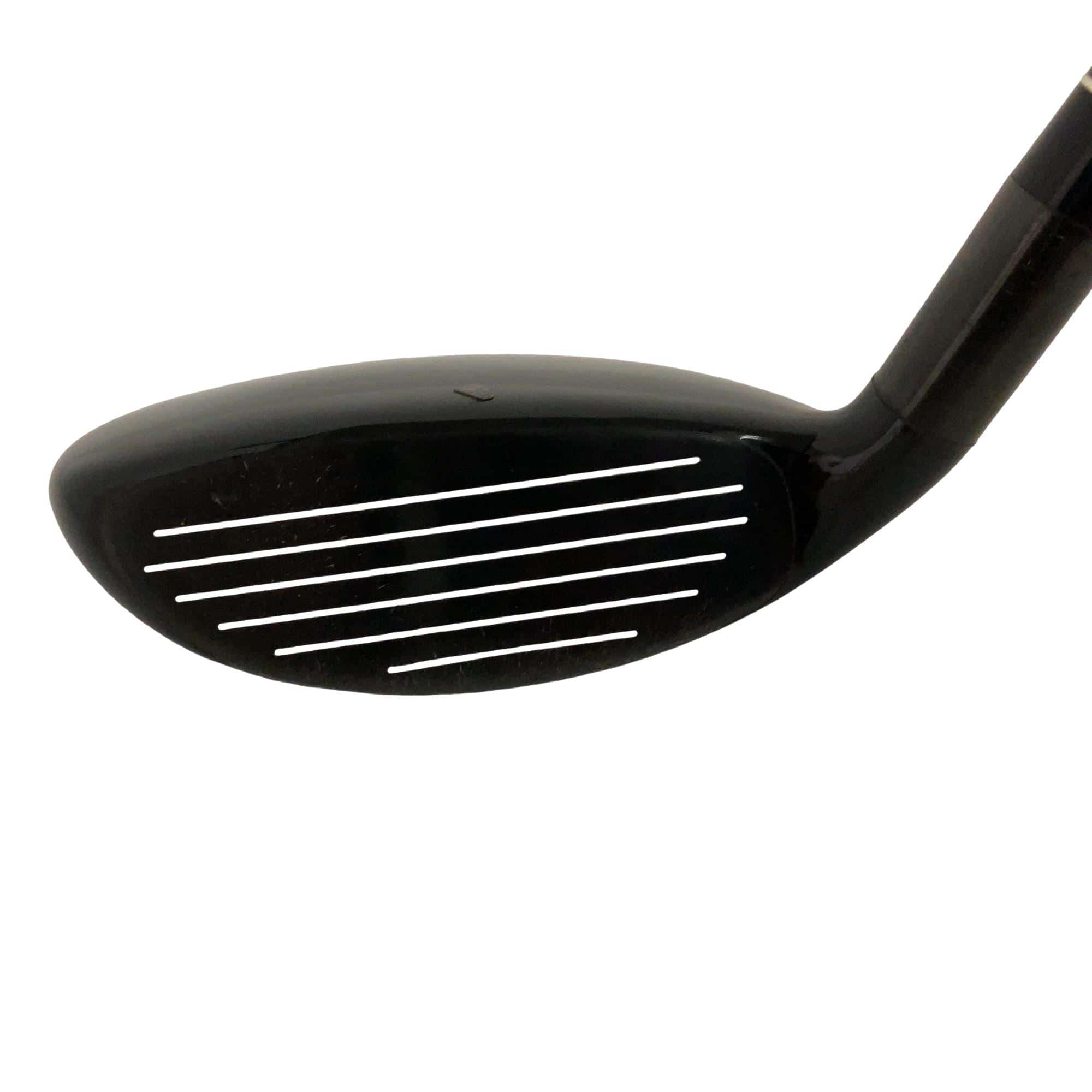 �w�@�g�n�s�@�t�T