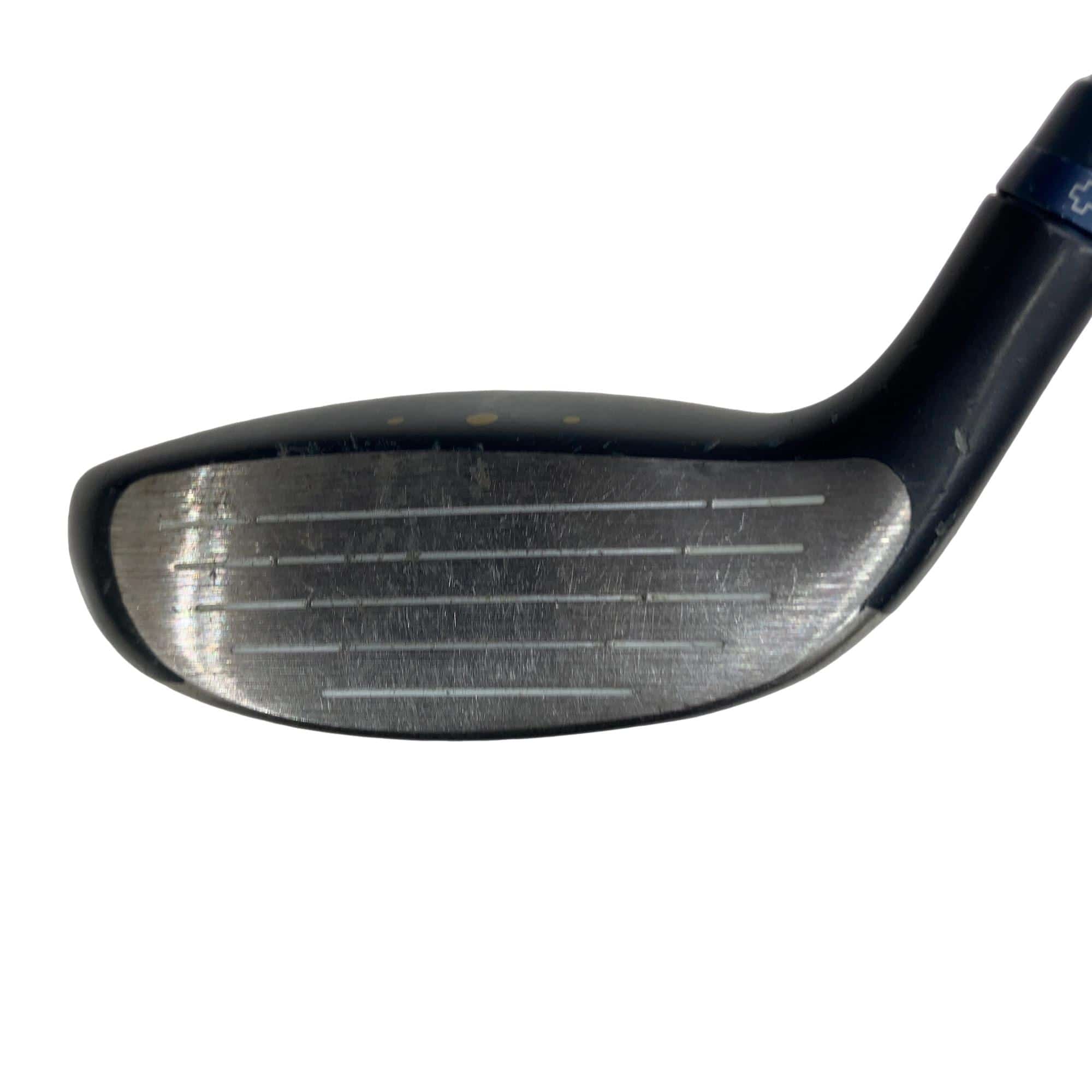 �f�@�k���R�@�V�v�@���f�B�[�X