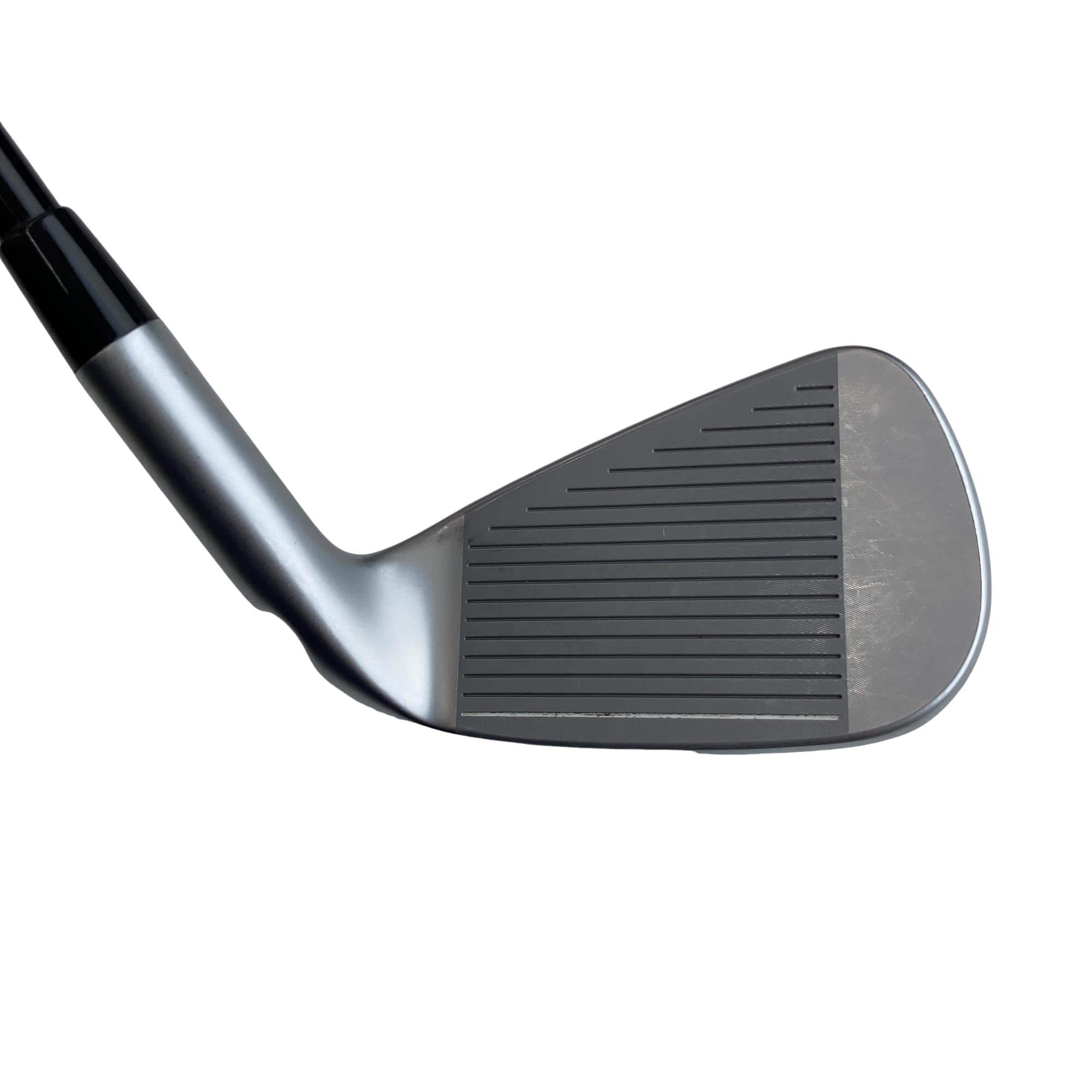 ���Q�R�O�@�U�r�@���t�e�B�i���{���F�U�{�Z�b�g�j