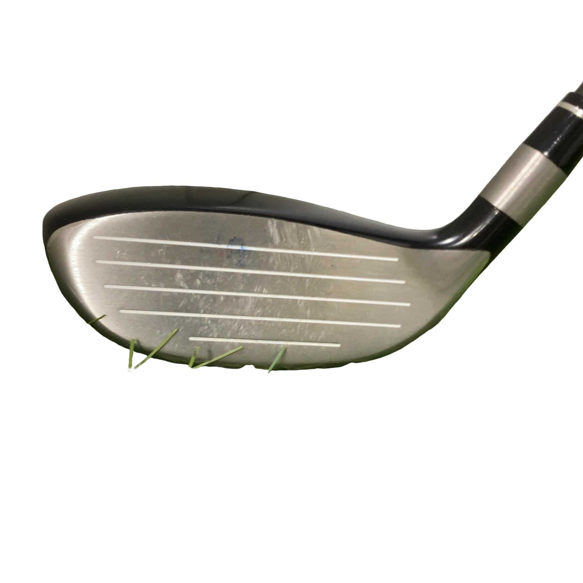 �s�n�t�q�@�v�n�q�k�c�@�s�v�V�S�V�@�Q�T°