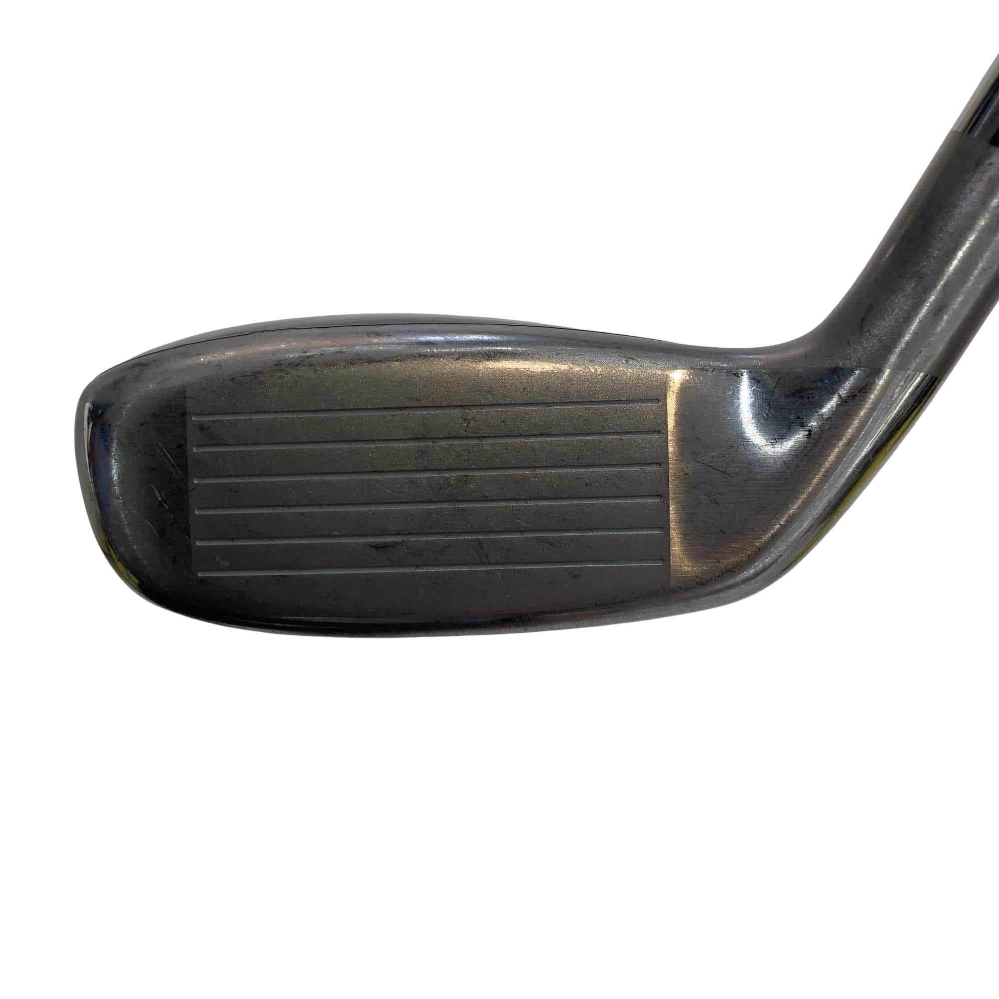 �u�q�@�o�q�n�@���[�e�B���e�B�@�t�Q