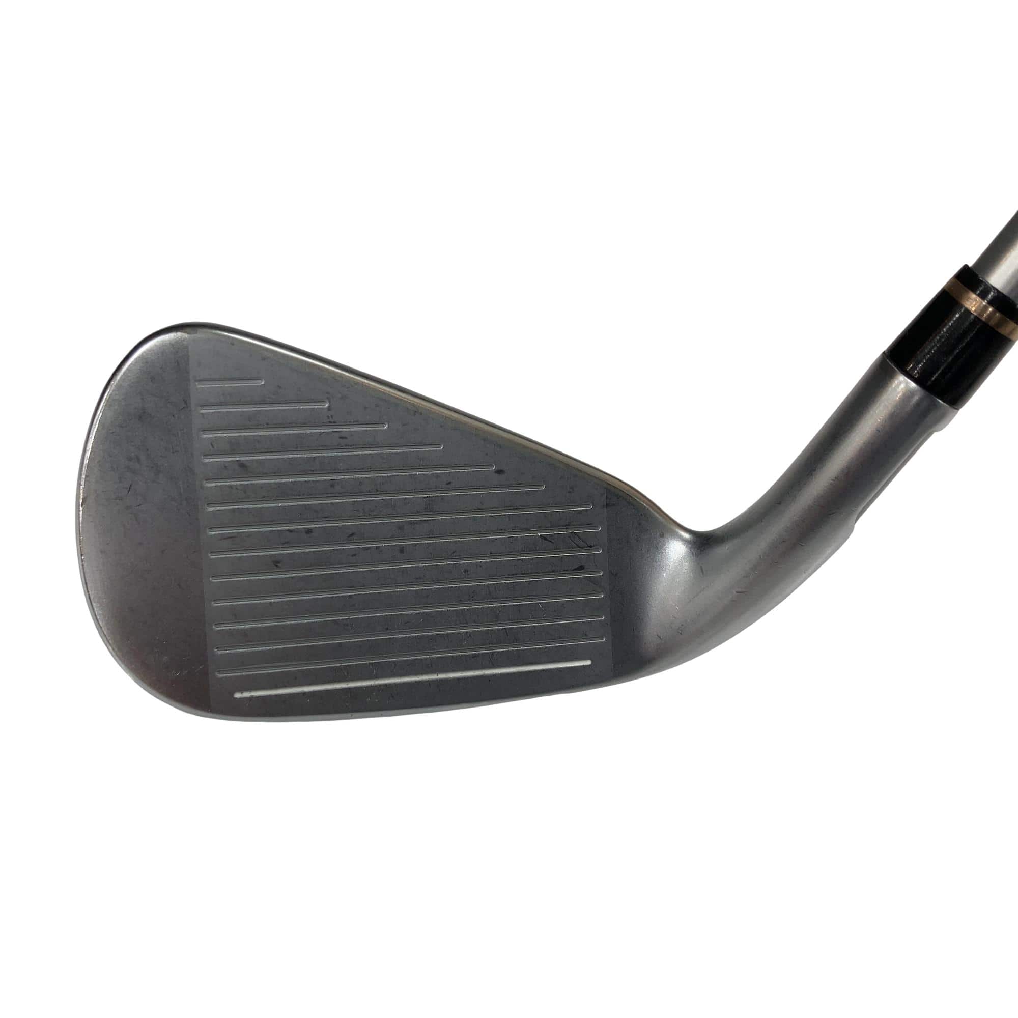 �l�@�f�k�n�h�q�d�@�U�r�@���f�B�[�X�i���{���F�U�{�Z�b�g�j