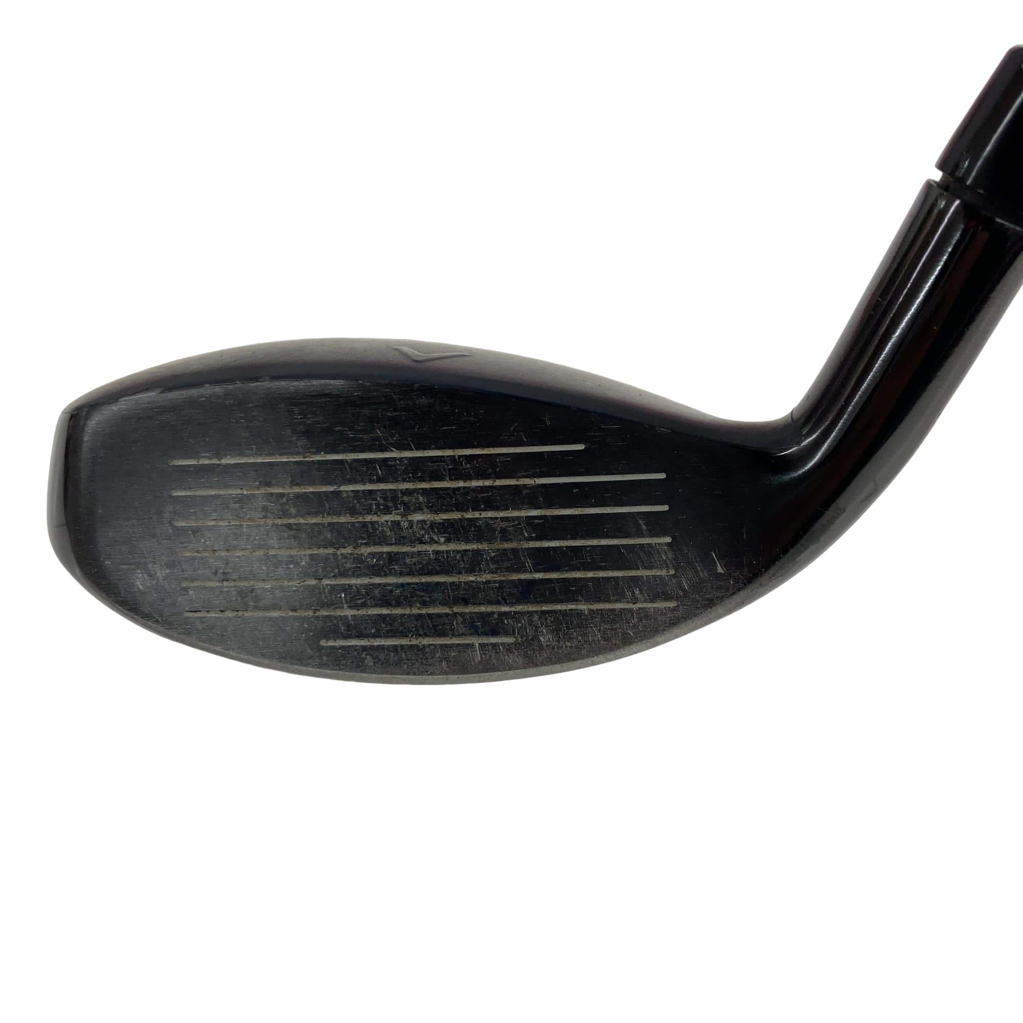 �w�q�@�t�S