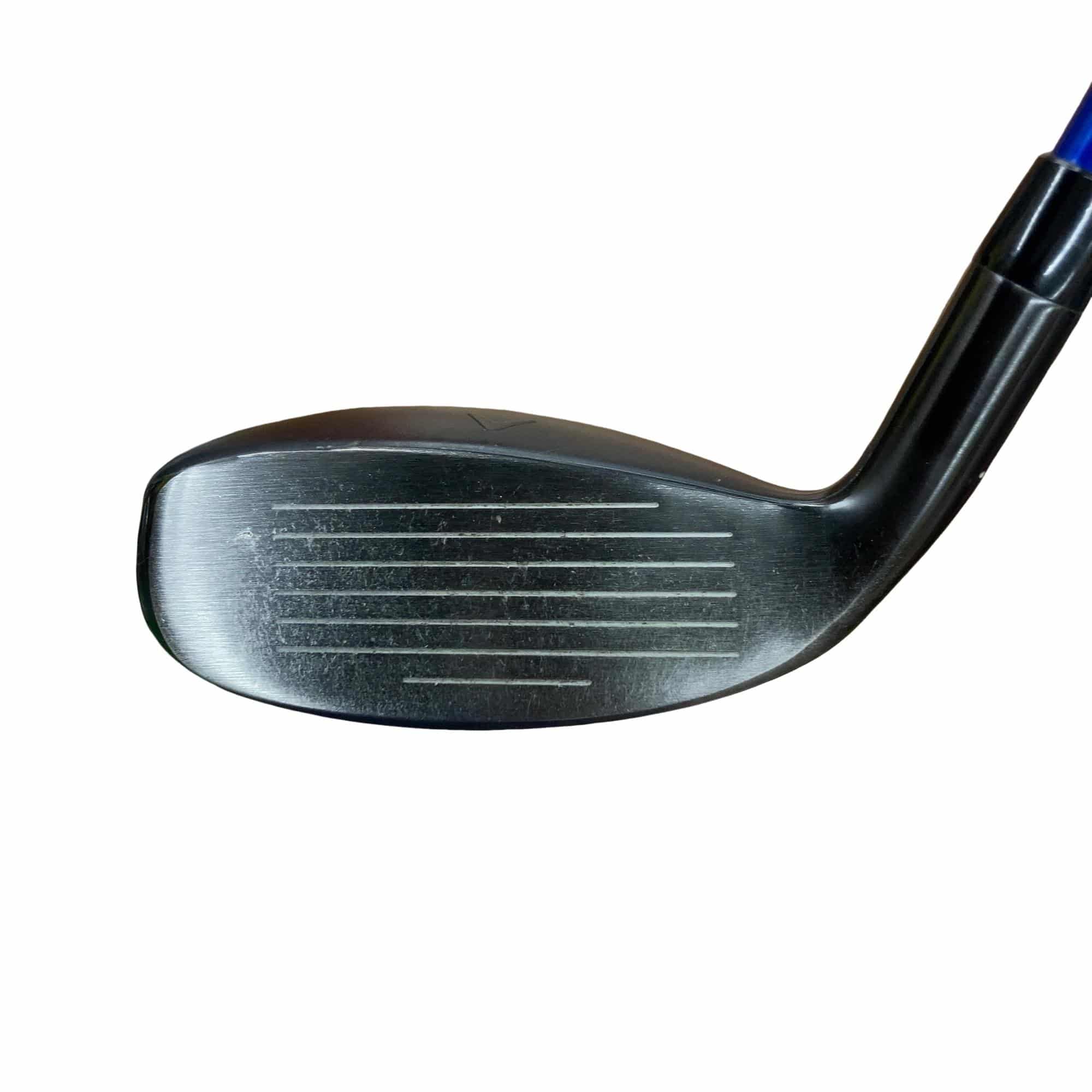 �w�q�@�P�U�@�n�r�@�t�T�@���f�B�[�X