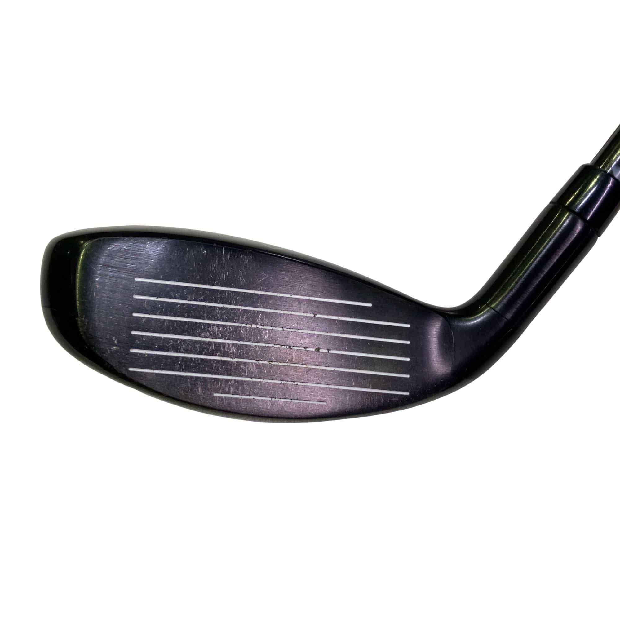 �w�Q�@�g�n�s�@�t�S