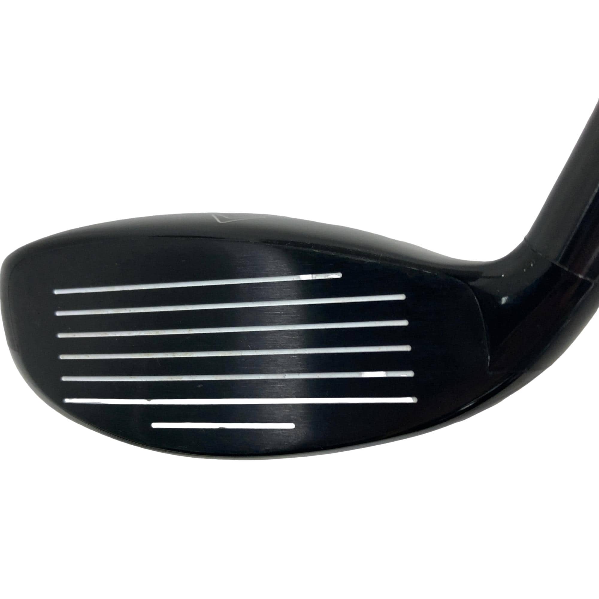 �w�Q�@�g�n�s�@�t�R