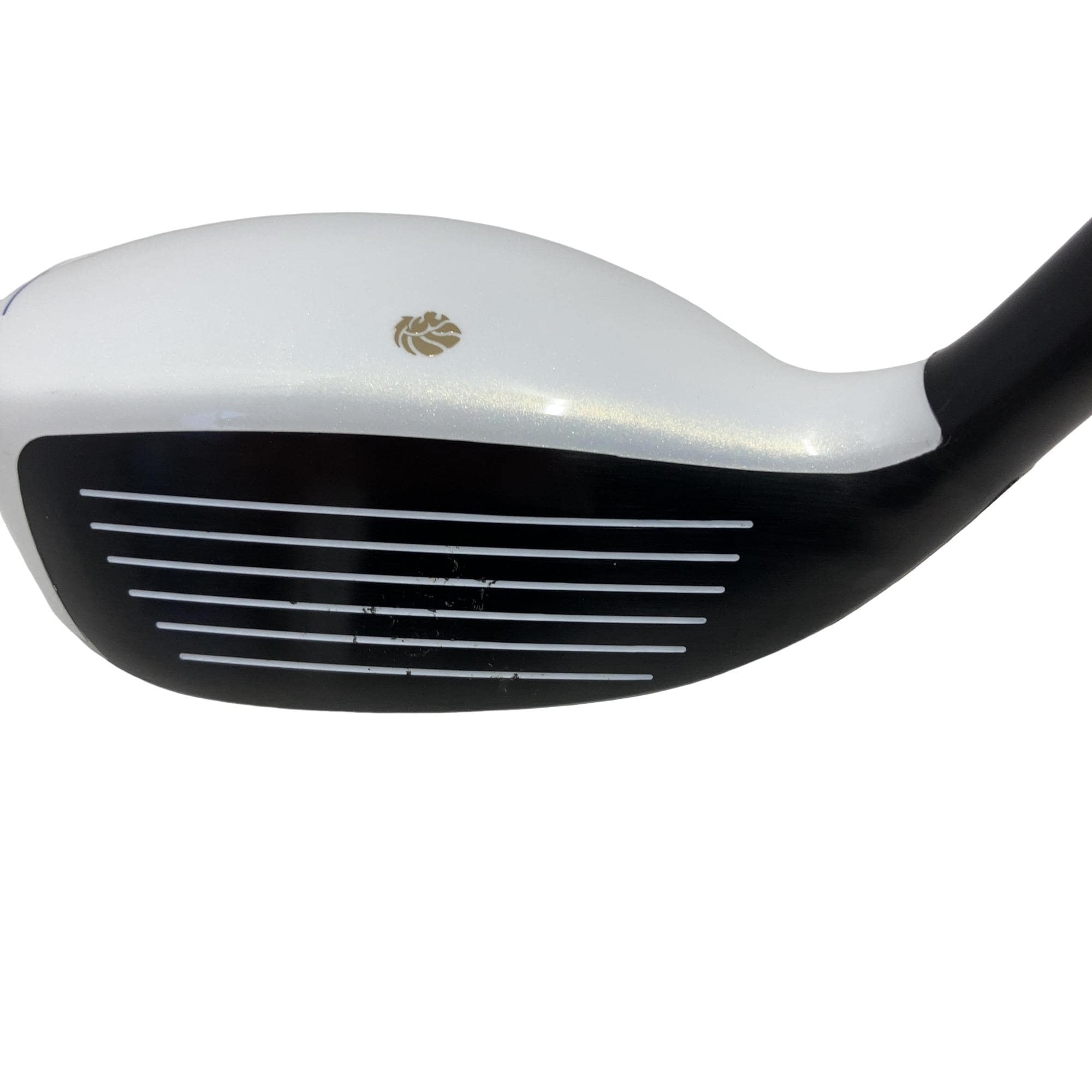 �f�k�n�h�q�d�@�e�i�Q�O�P�U�j�@�t�T