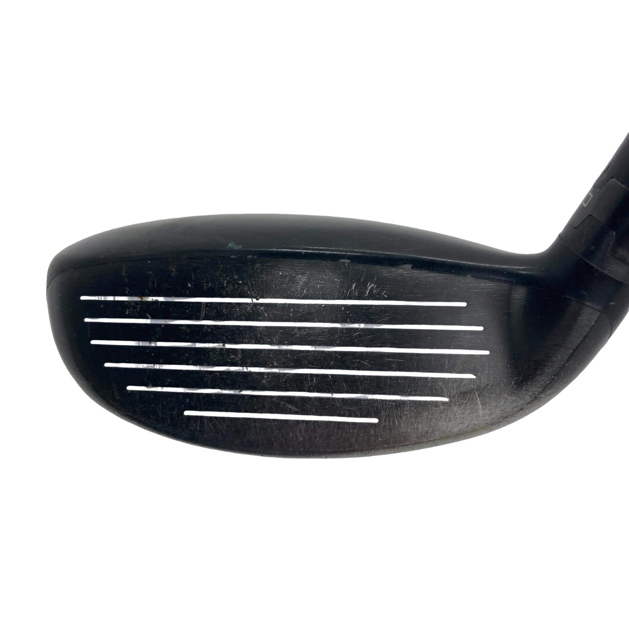 �X�P�T�@�g�@�t�S