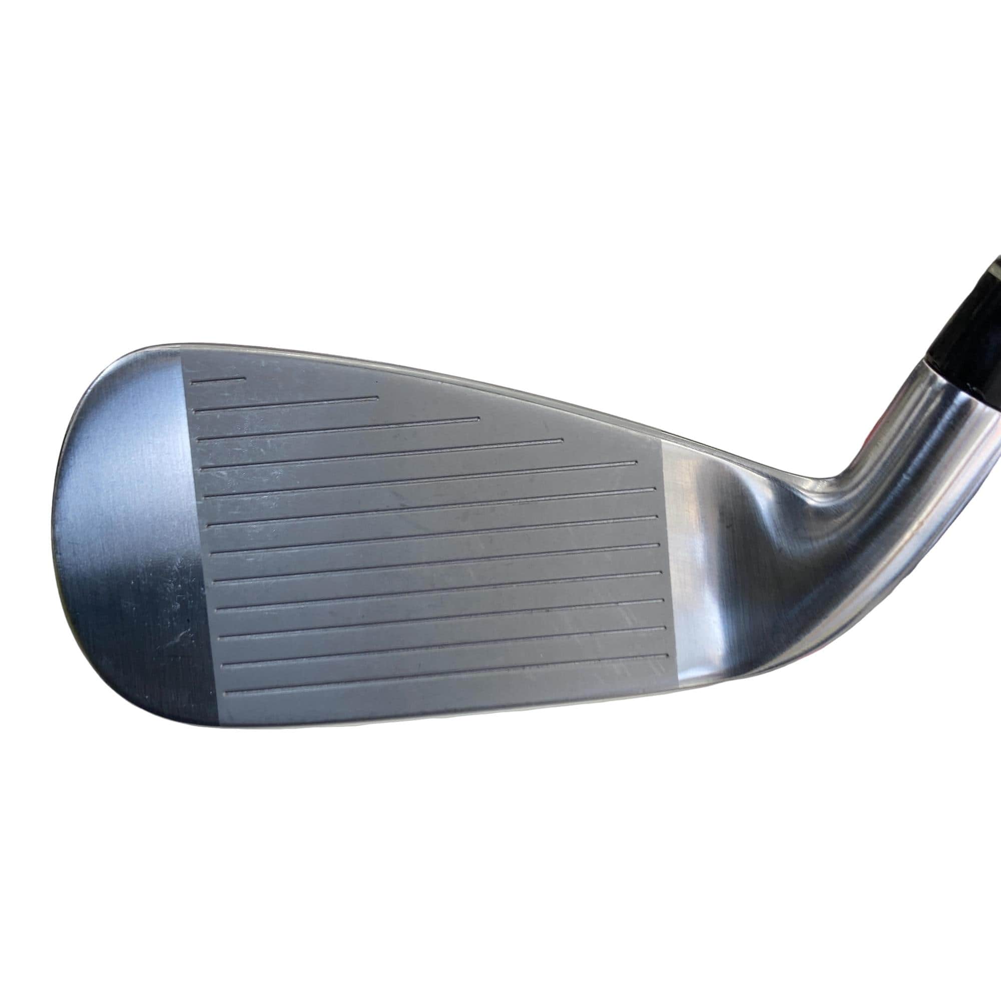 �������@���{�i�Q�O�P�X�j�@�t�T