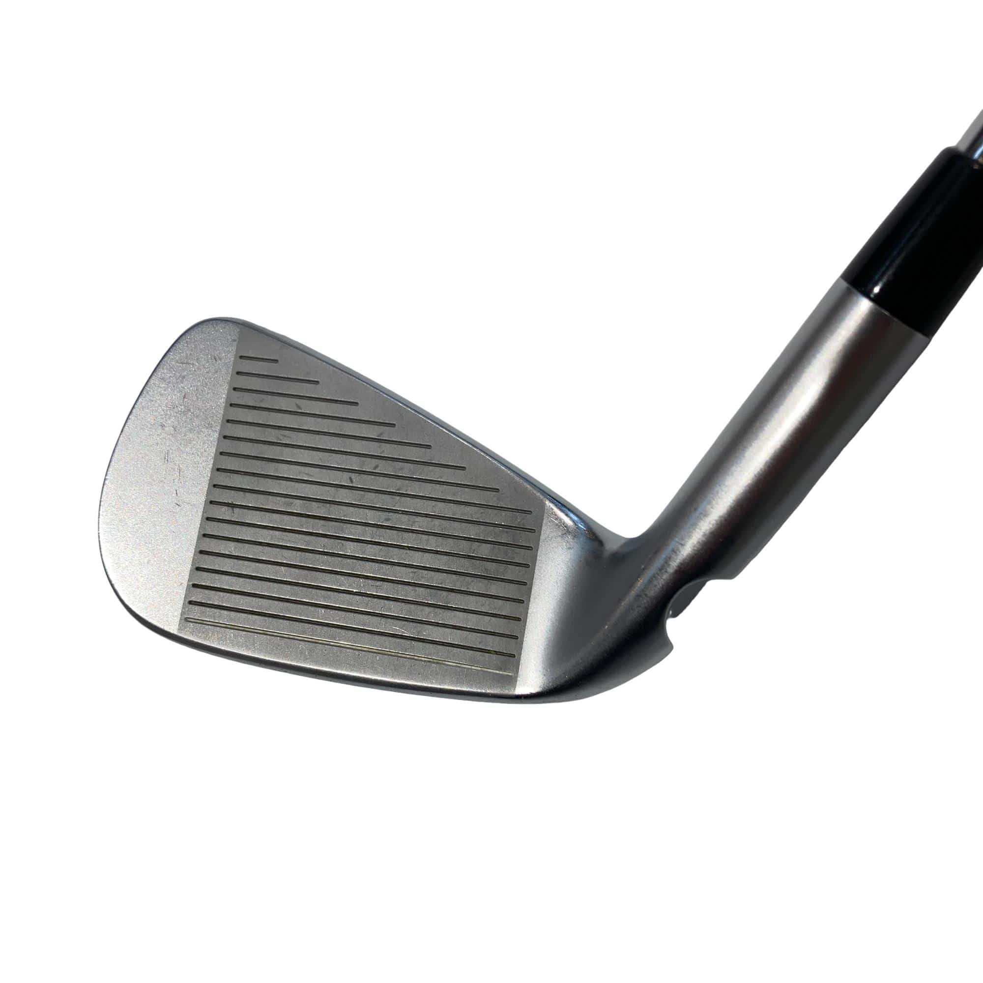 ���T�R�O�@�T�r�i���{���F�T�{�Z�b�g�j