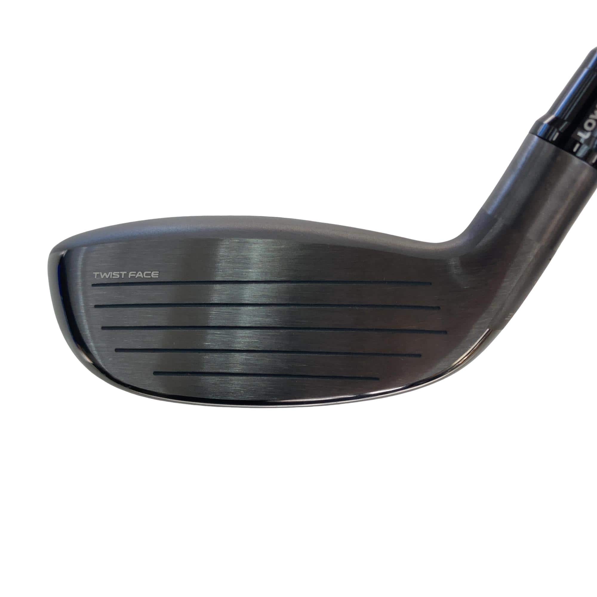 �p���R�T�@�t�S