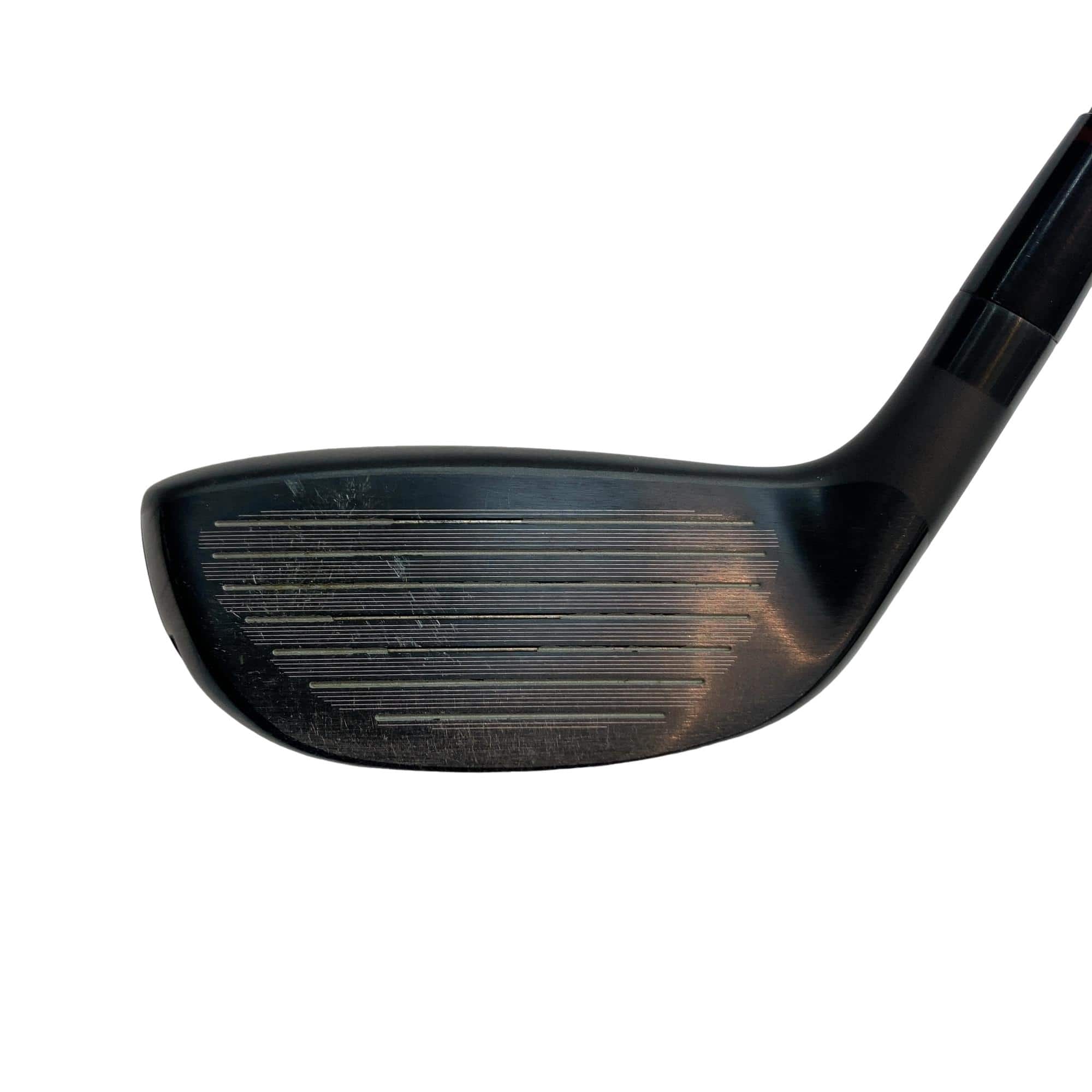 �n�m�n�e�e�@�t�s�h�k�h�s�x�@�v�h�m�f�r�i�Q�O�Q�S�j�@�j�t�q�n�@�t�T