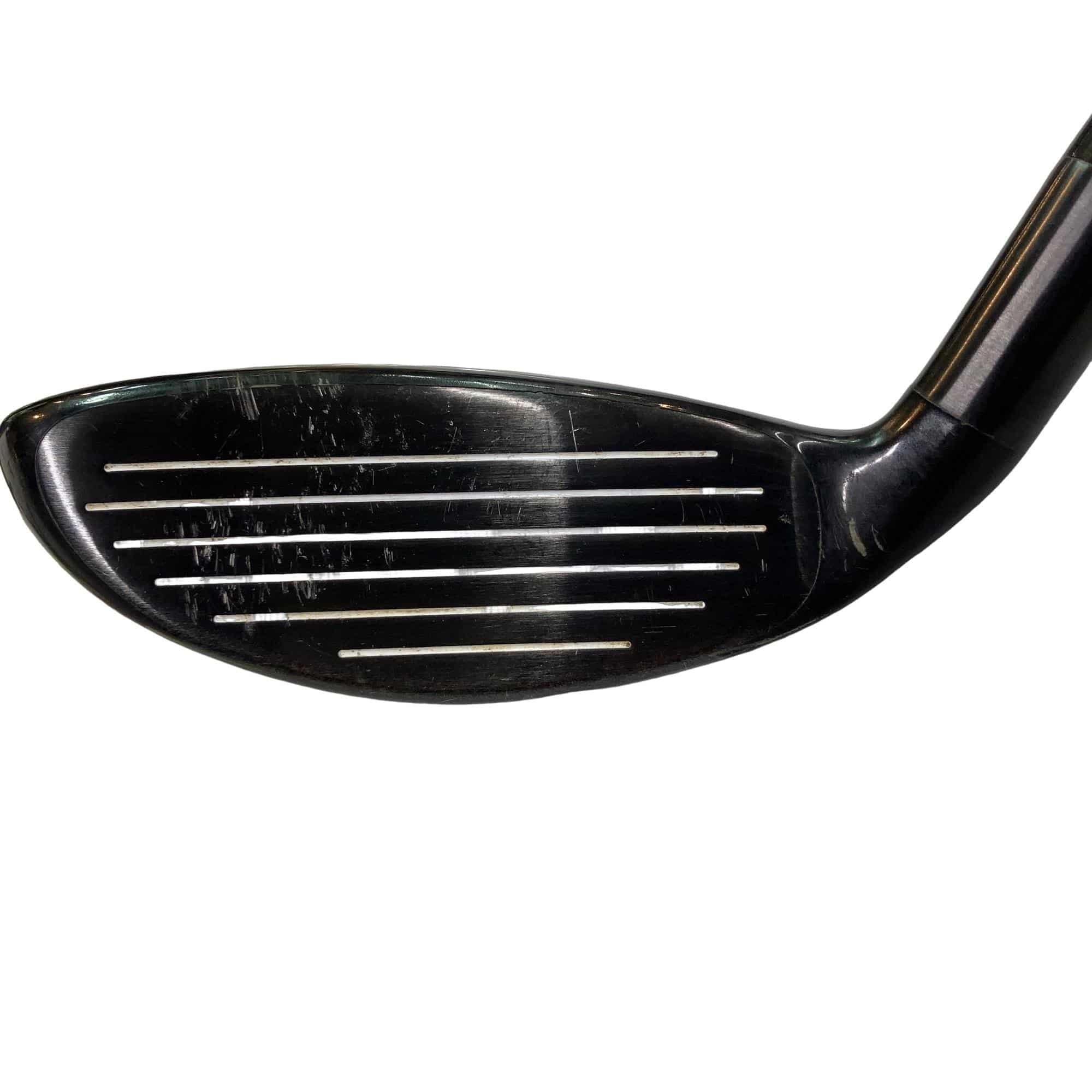 �w�@�g�n�s�@�t�T