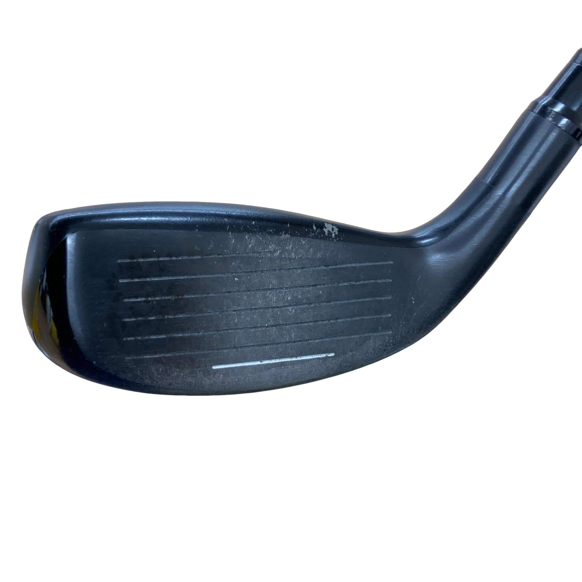 �f�`�o�q�@�g�h�@�t�R