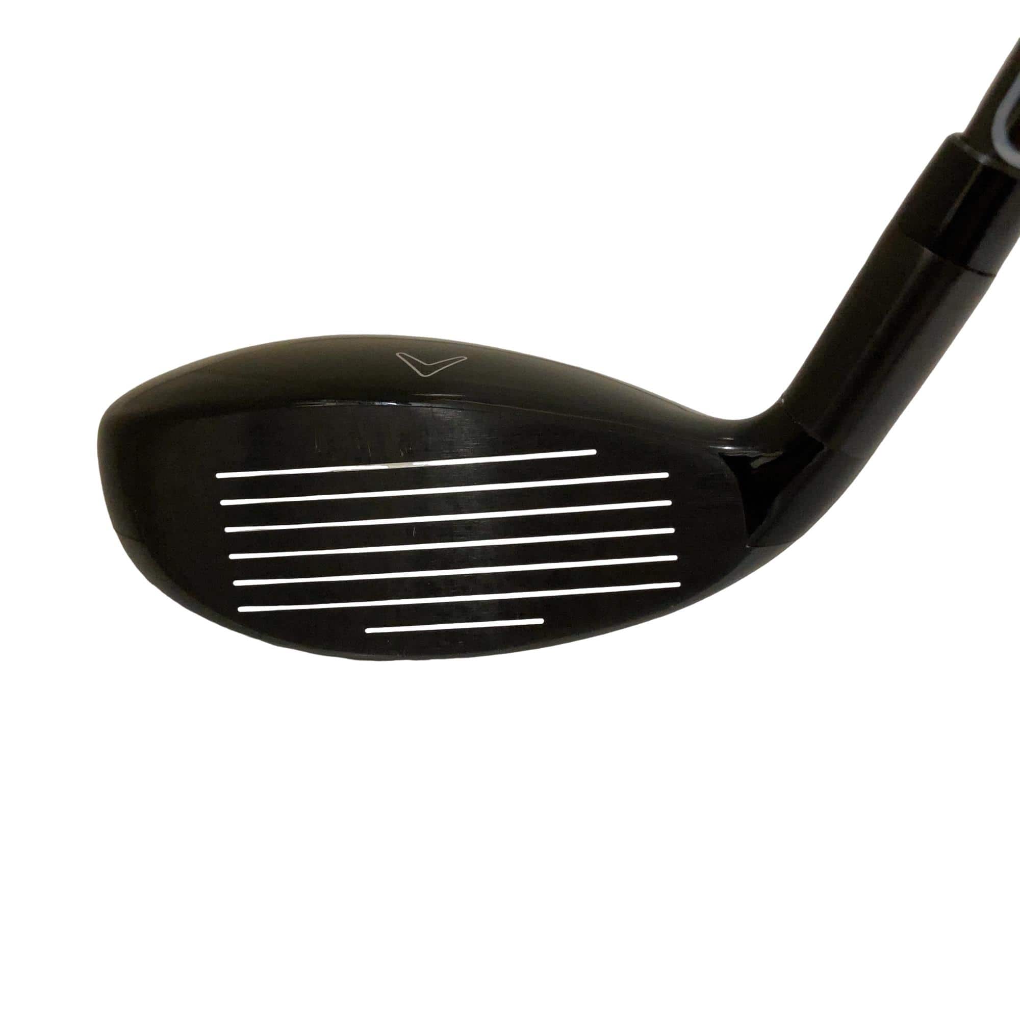 �w�Q�@�g�n�s�@�t�T