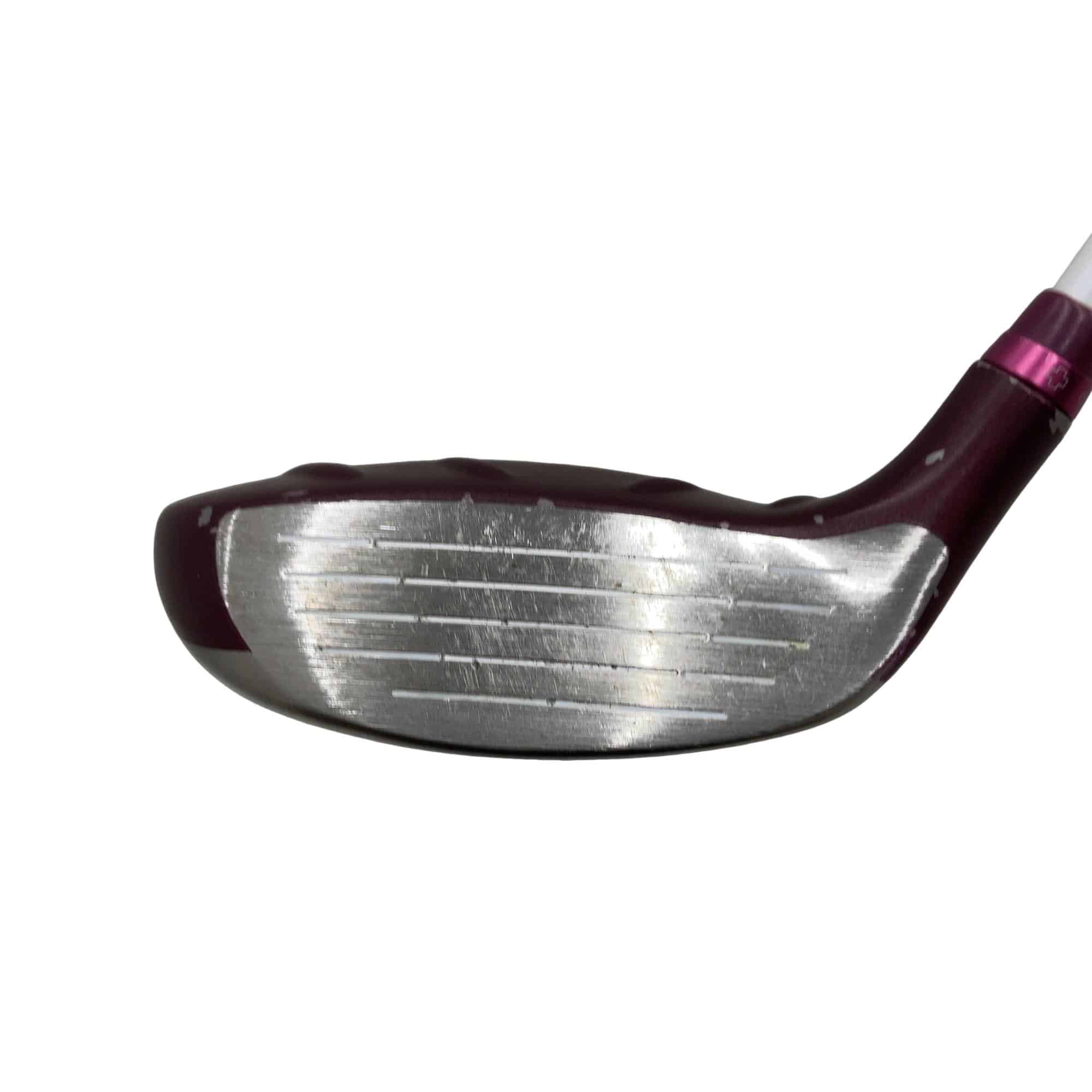 �f�@�k���Q�@�V�v�@���f�B�[�X