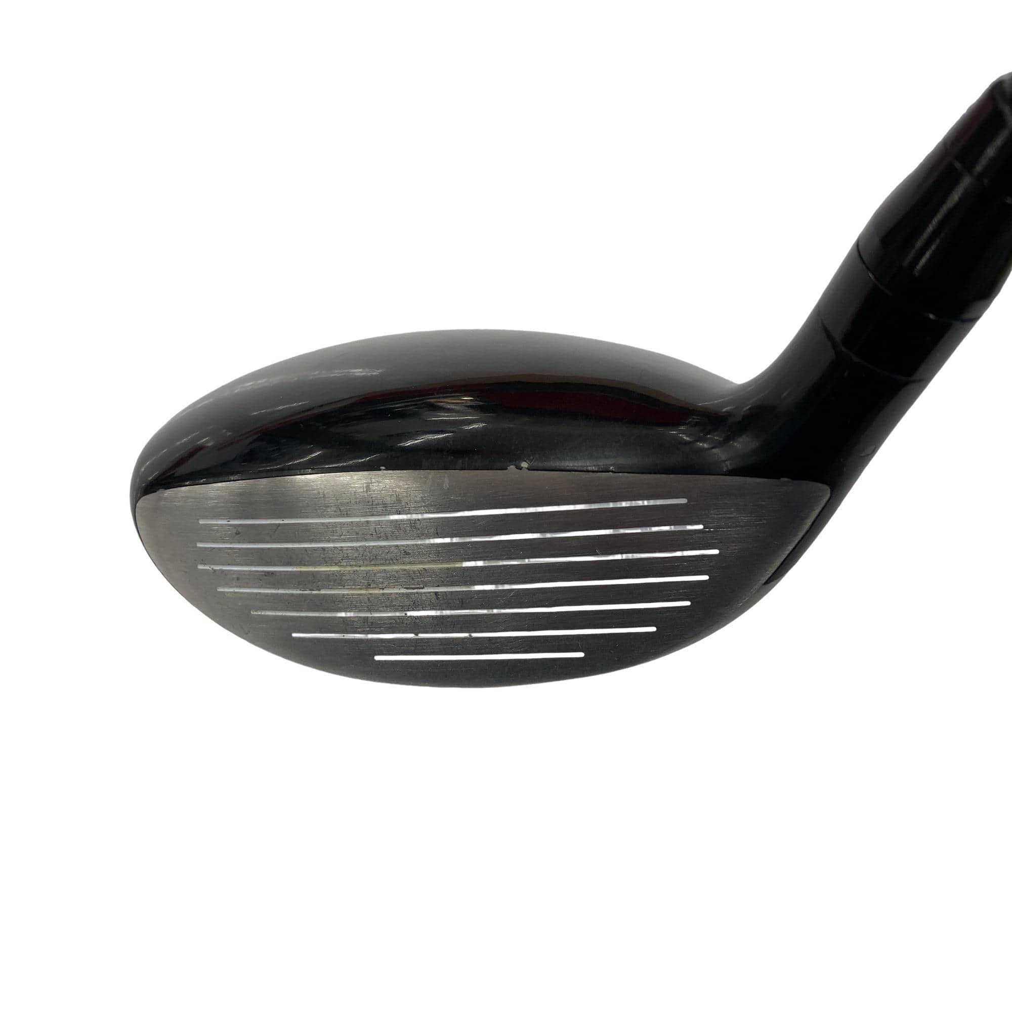 �������������@�q�l�w�@�t�S�{