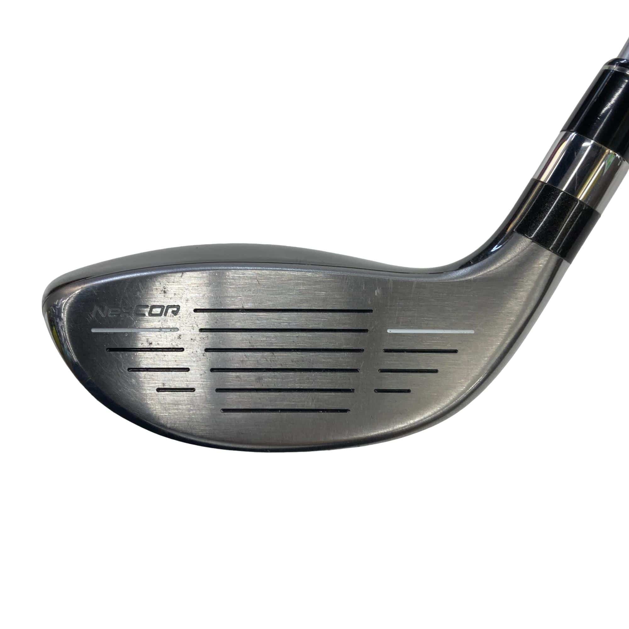 �u�q�Q�r�@���[�e�B���e�B�@�t�Q