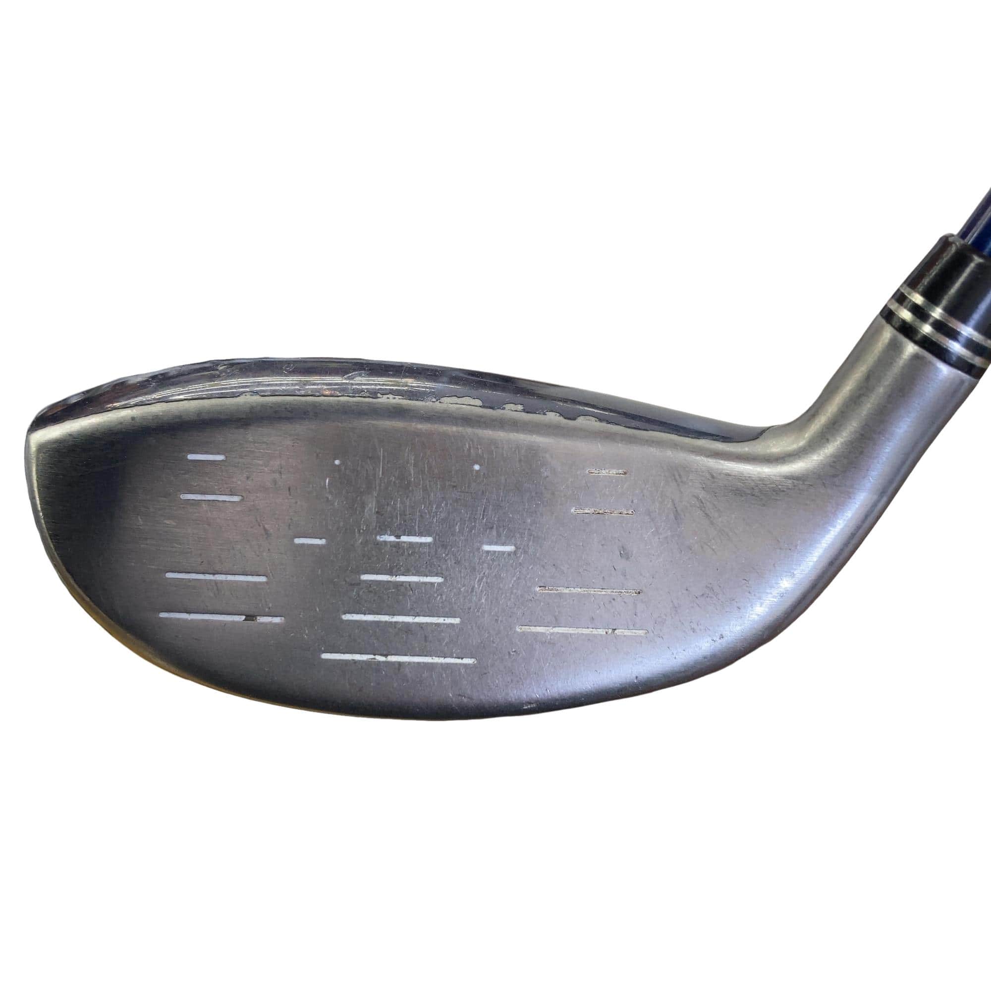 �w�w�h�n�i�Q�O�P�U�j�@�t�U�@���f�B�[�X