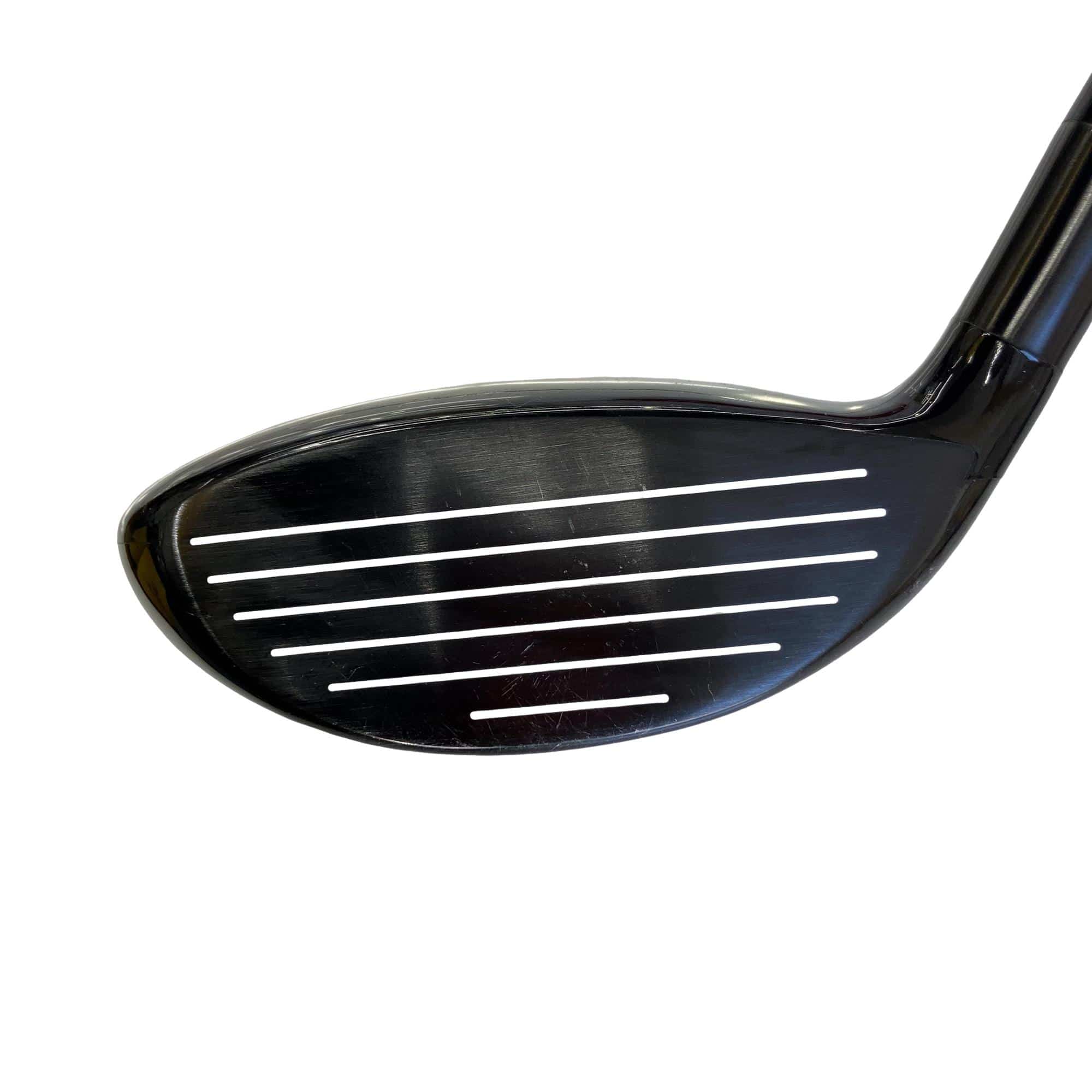 �w�Q�@�g�n�s�@�o�q�n�@�P�T°