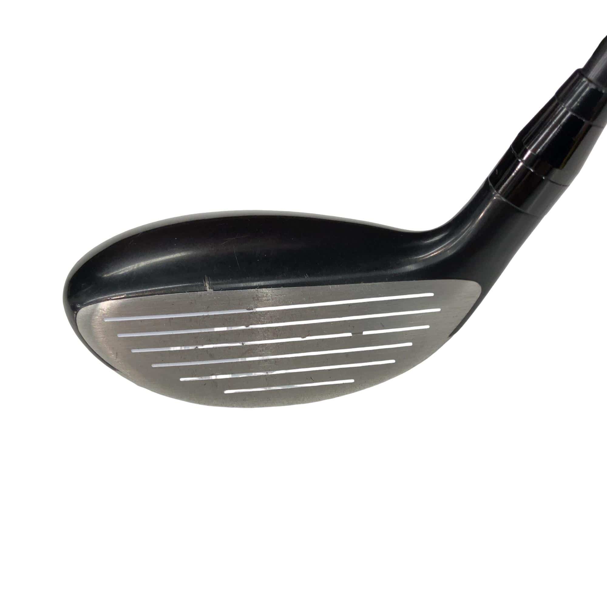 �������������@�q�l�w�@�t�S�{�@���f�B�[�X