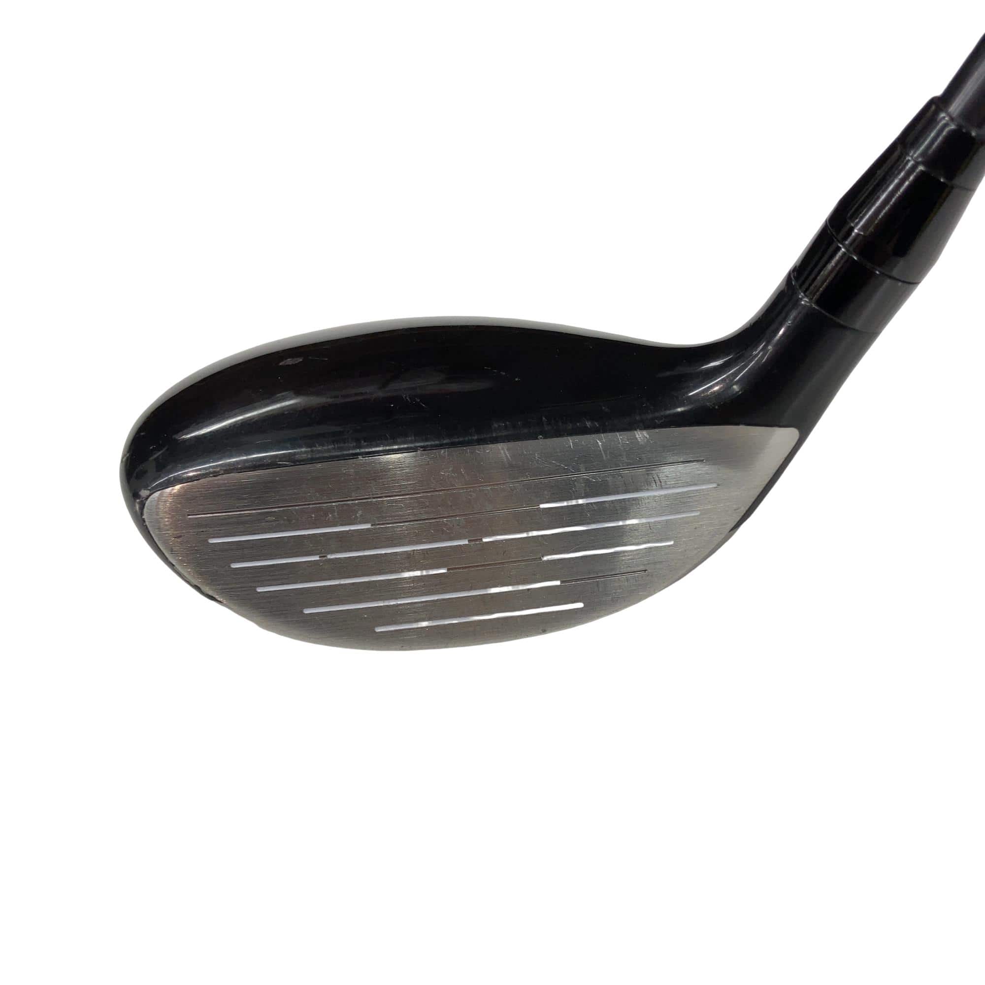 �������������@�q�l�w�@�t�U�{�@���f�B�[�X