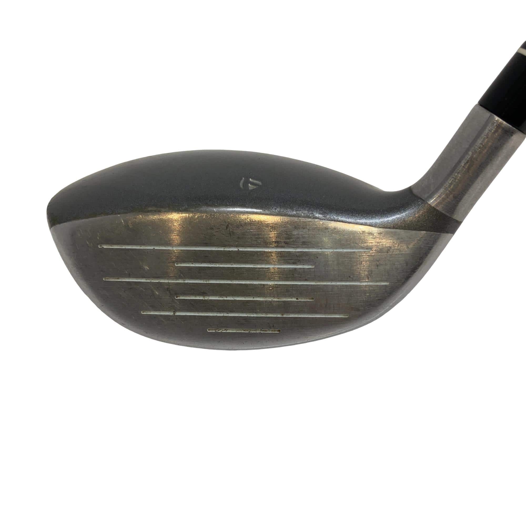 ���T�@�w�k�@�e�v�@�T�v�@���f�B�[�X