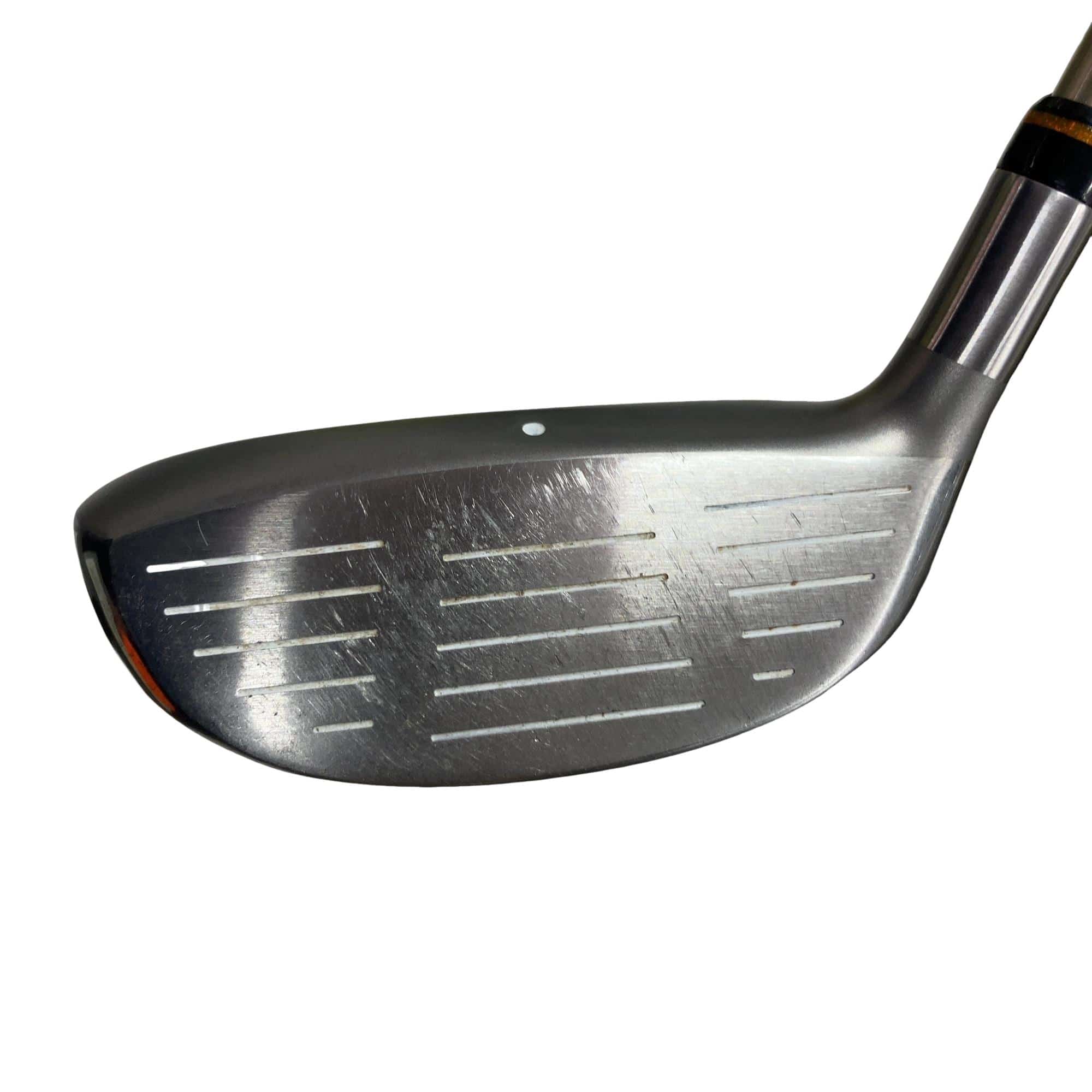 �b�����������������i�Q�O�O�W�j�@�t�S�@���f�B�[�X