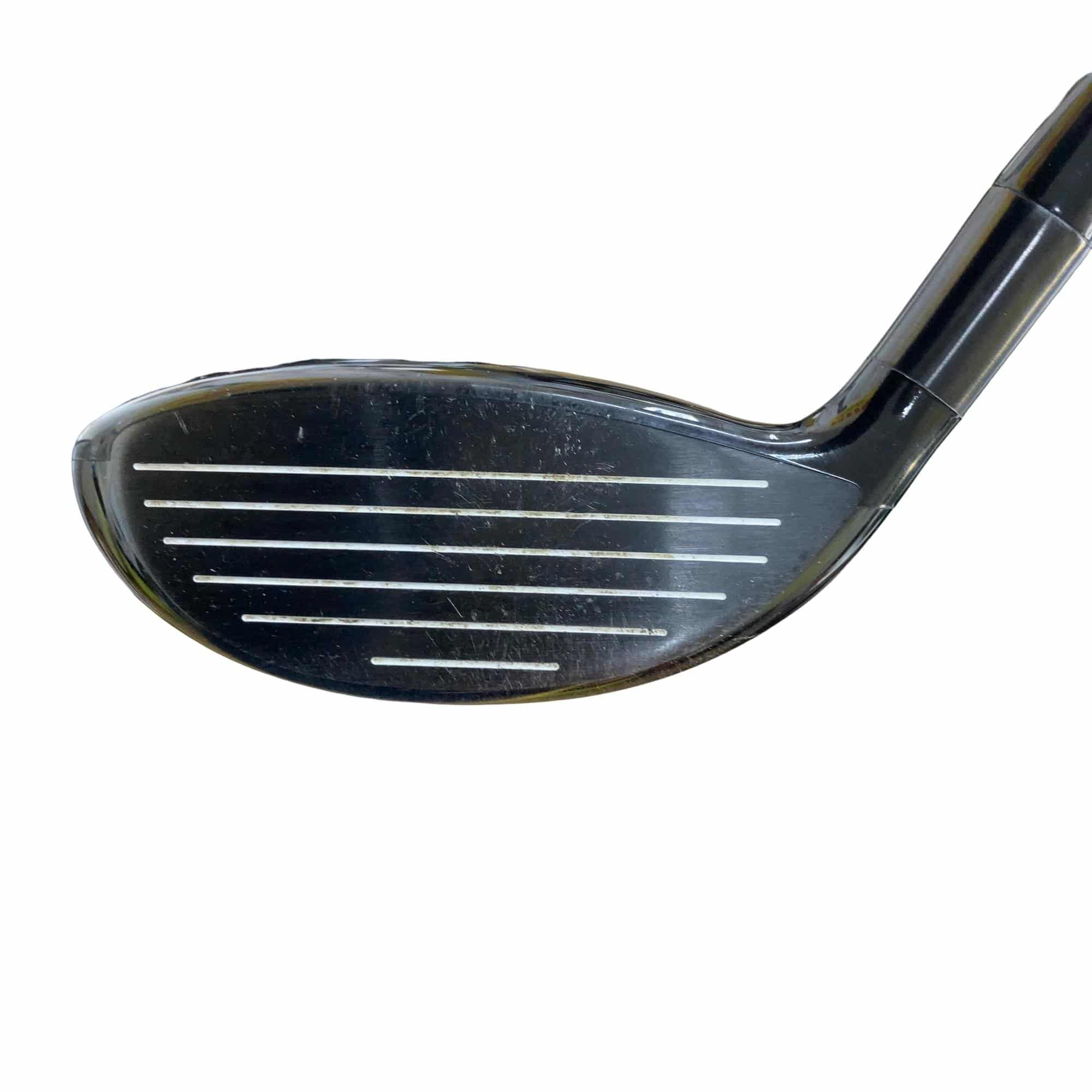 �w�Q�@�g�n�s�@�o�q�n�@�P�T°