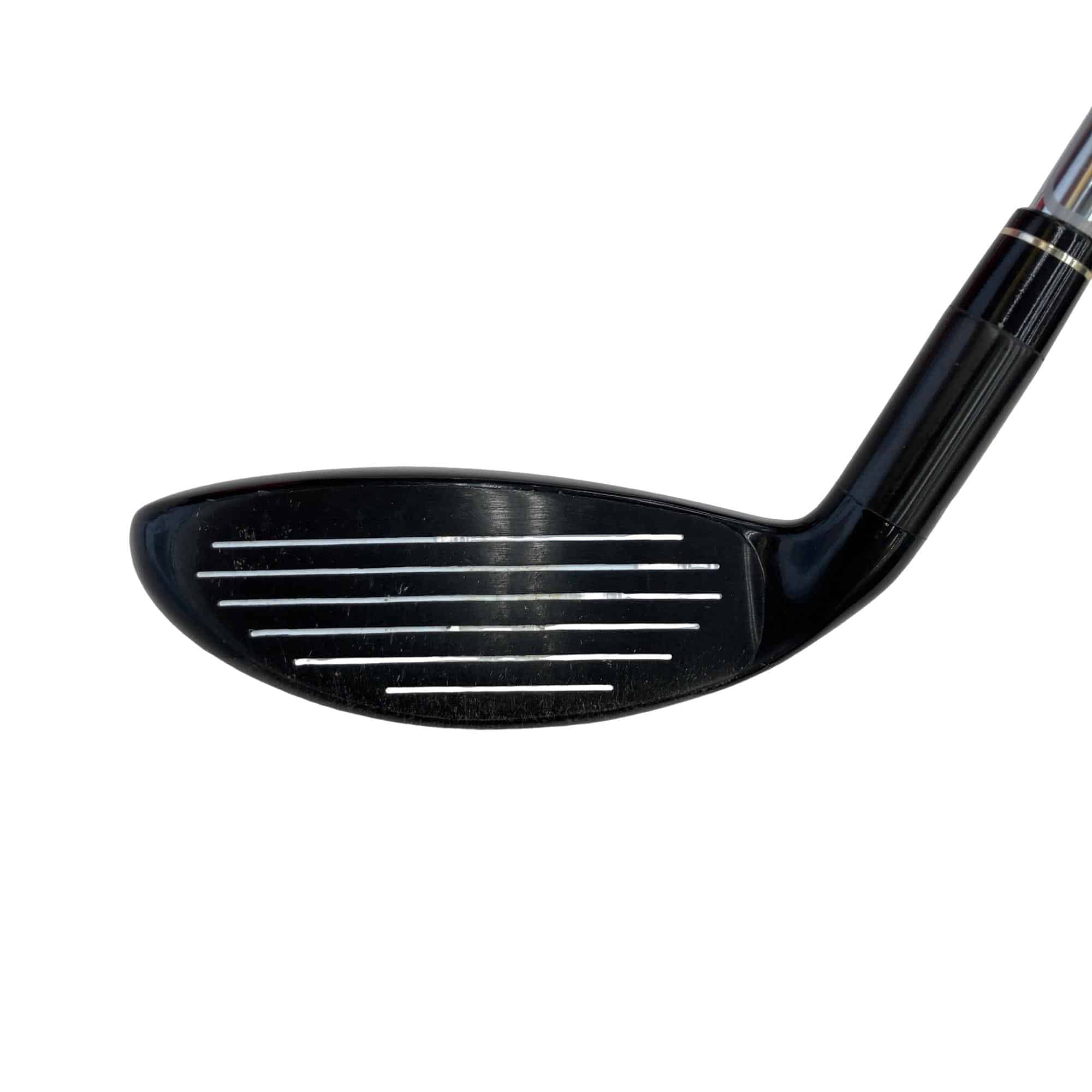 �w�@�g�n�s�@�t�R