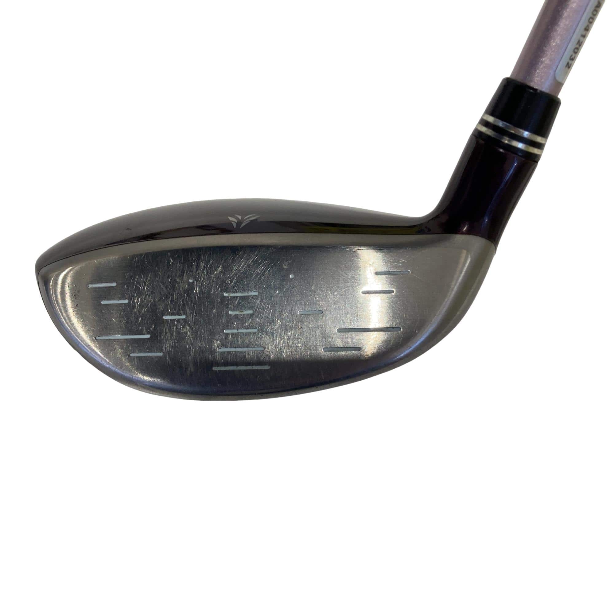 �w�w�h�n�i�Q�O�P�U�j�@�X�v�@���f�B�[�X