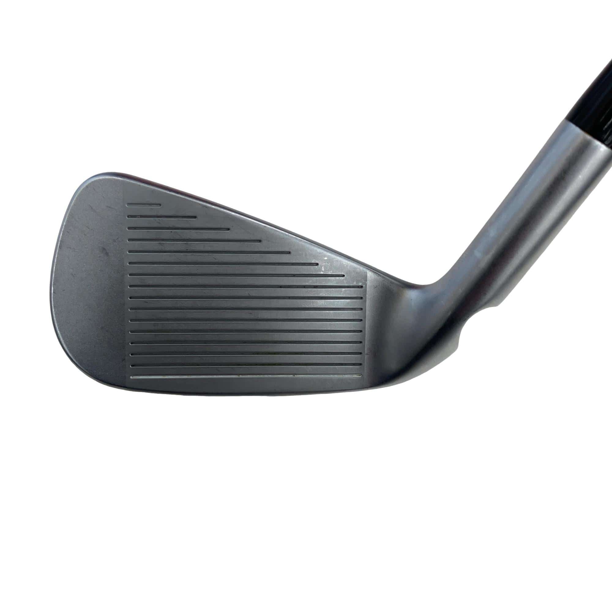 ���T�R�O�@�W�r�i���{���F�V�{�Z�b�g�j