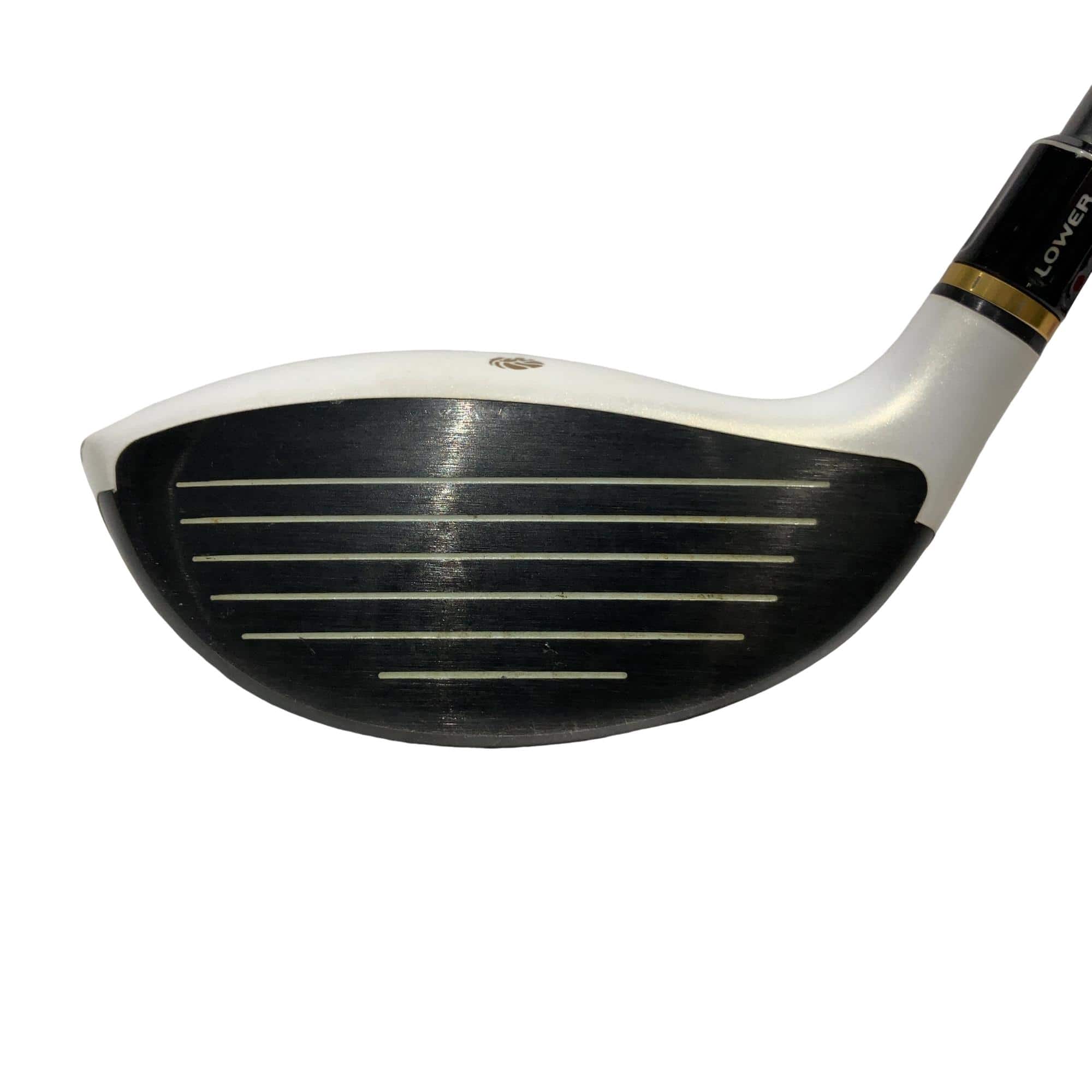 �f�k�n�h�q�d�@�T�v