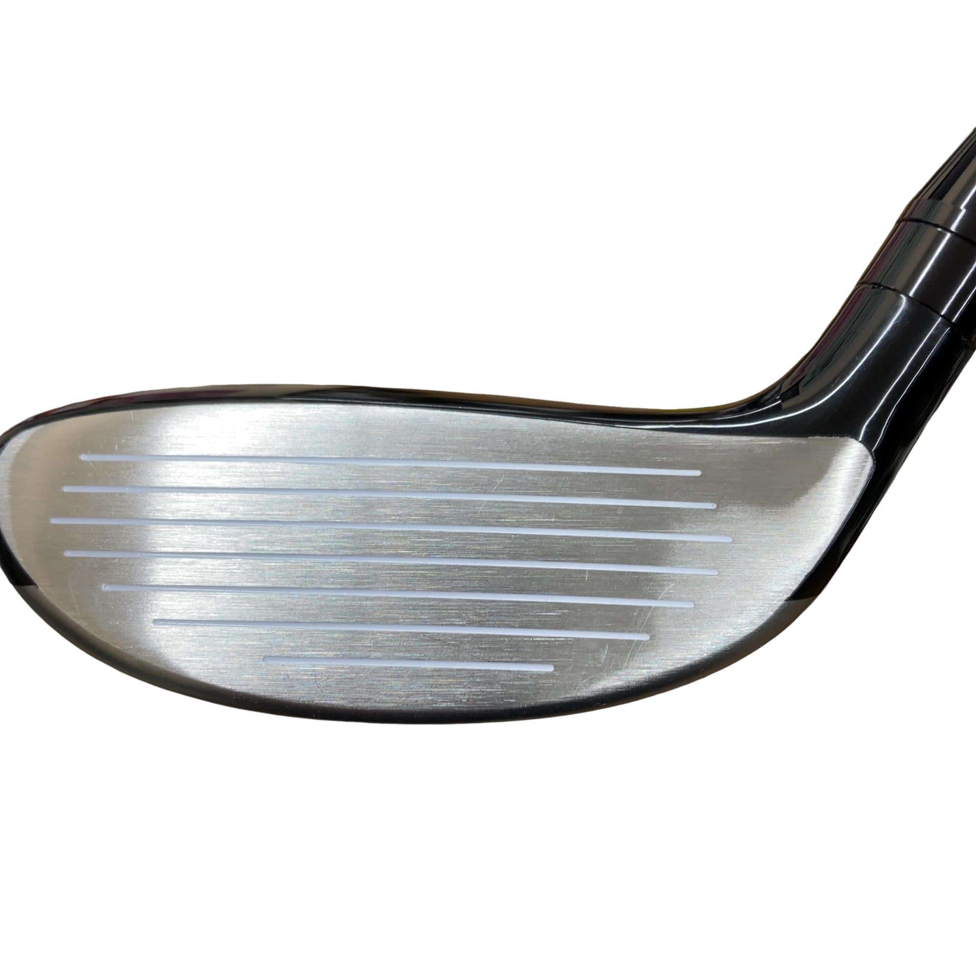 �������������@�q�l�w�@�t�R�{