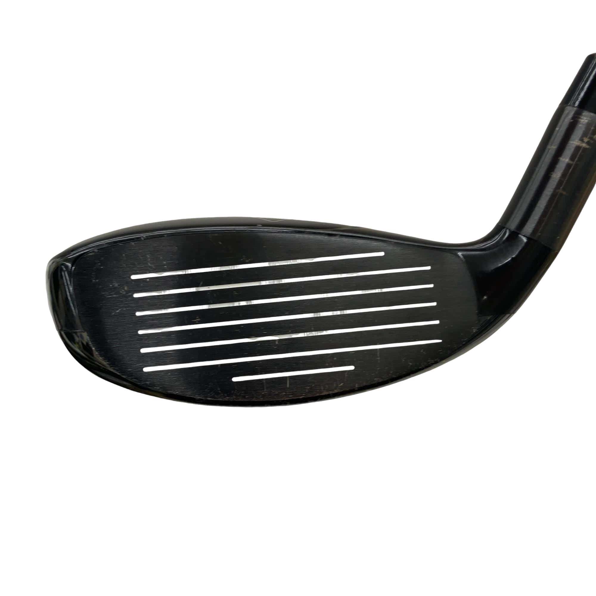 �w�Q�@�g�n�s�@�t�R