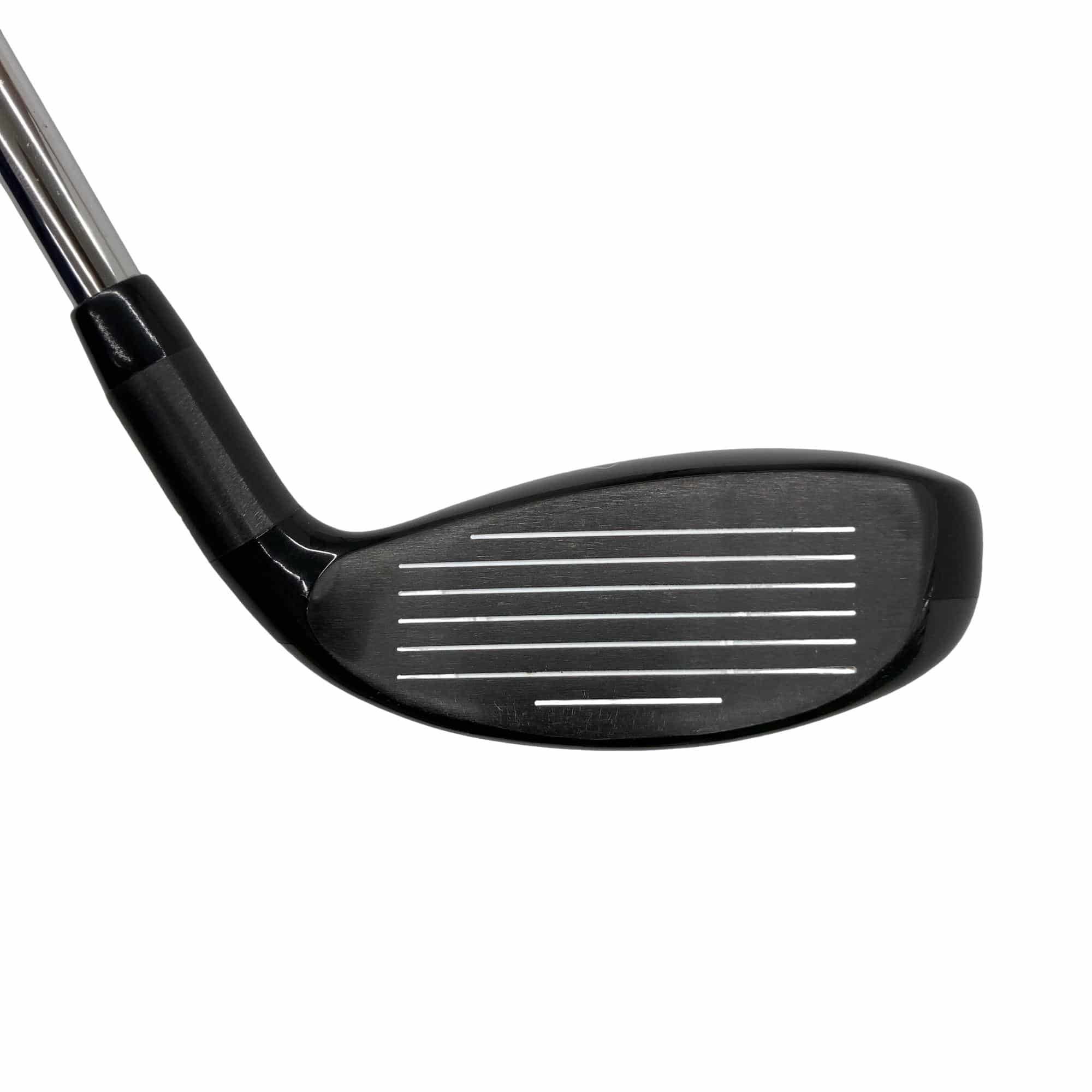 �w�Q�@�g�n�s�@�t�S�@���t�e�B