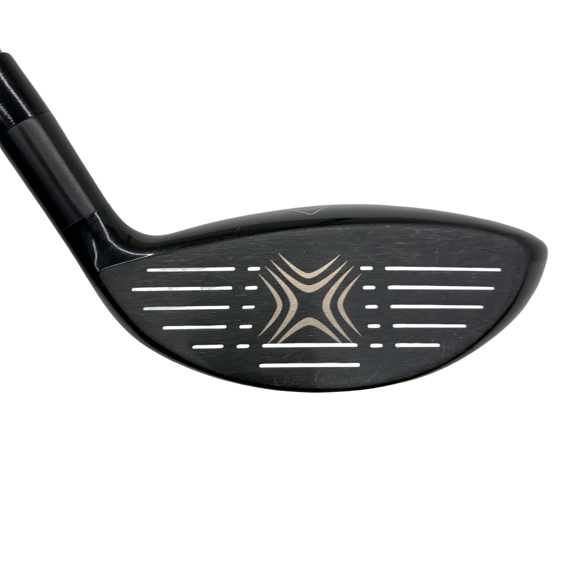 �w�Q�@�g�n�s�@�@�T�v�@���t�e�B