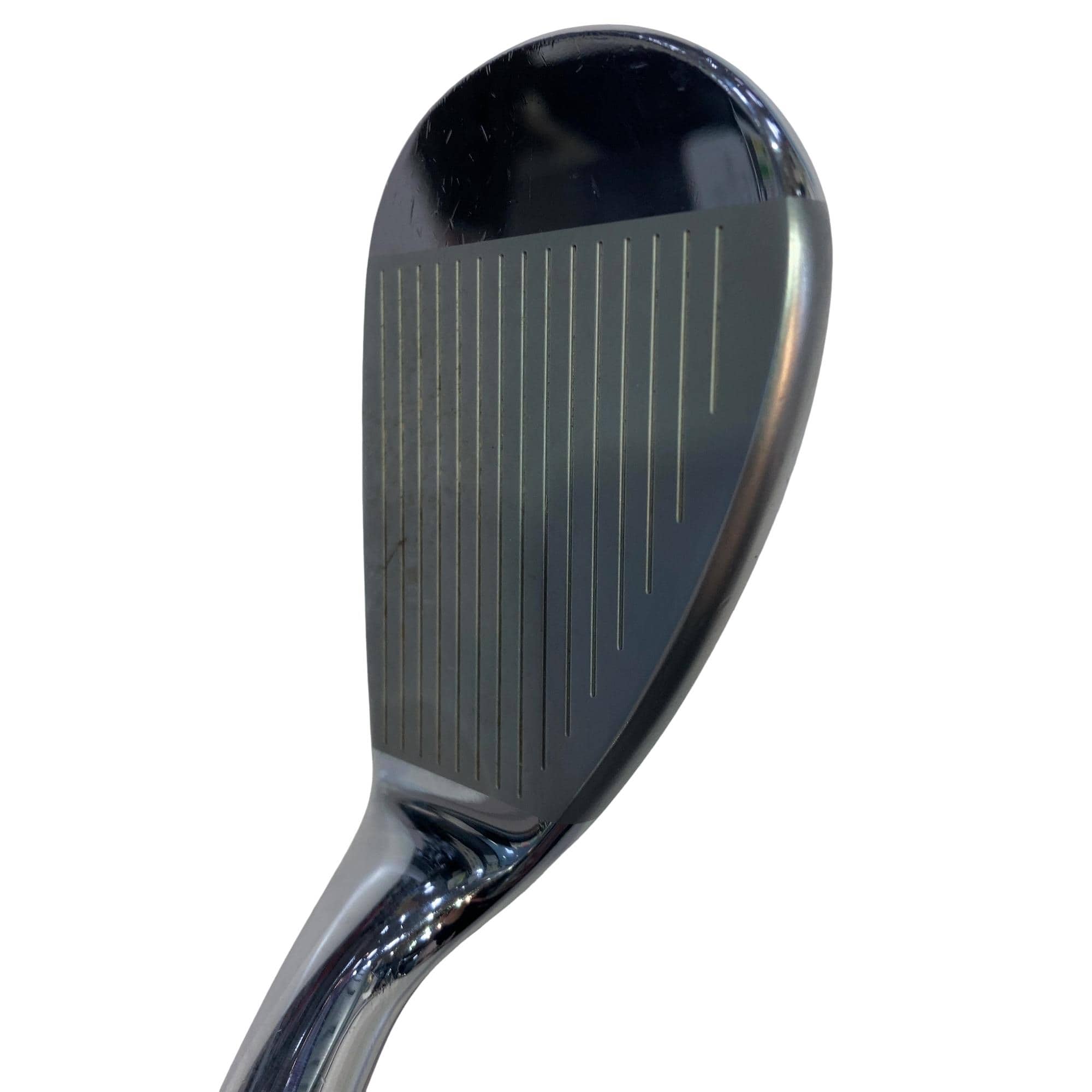 �i�o�w�@�E�F�b�W�i�Q�O�P�R�j�@�T�Q°�^�O�W°