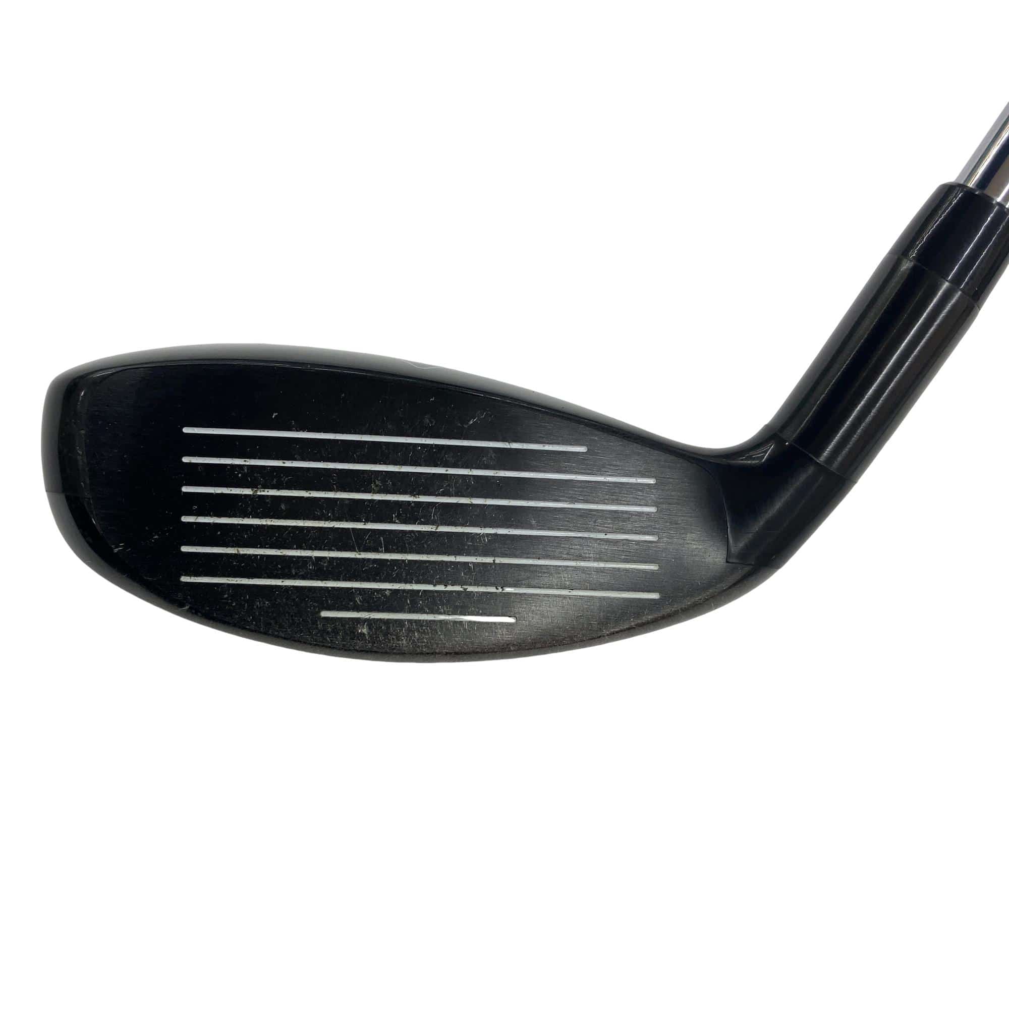 �w�Q�@�g�n�s�@�t�S