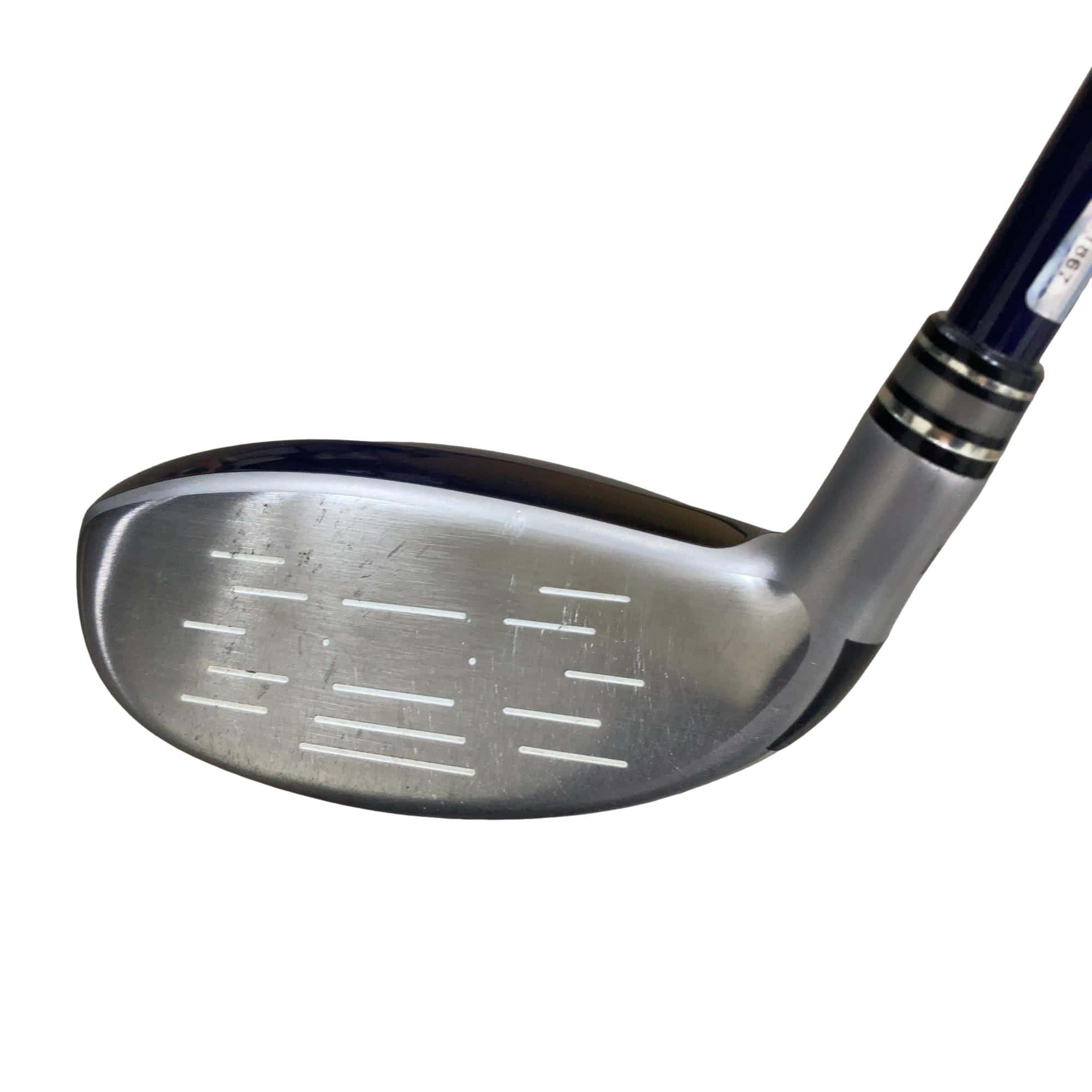 �w�w�h�n�i�Q�O�P�W�j�@�g�U