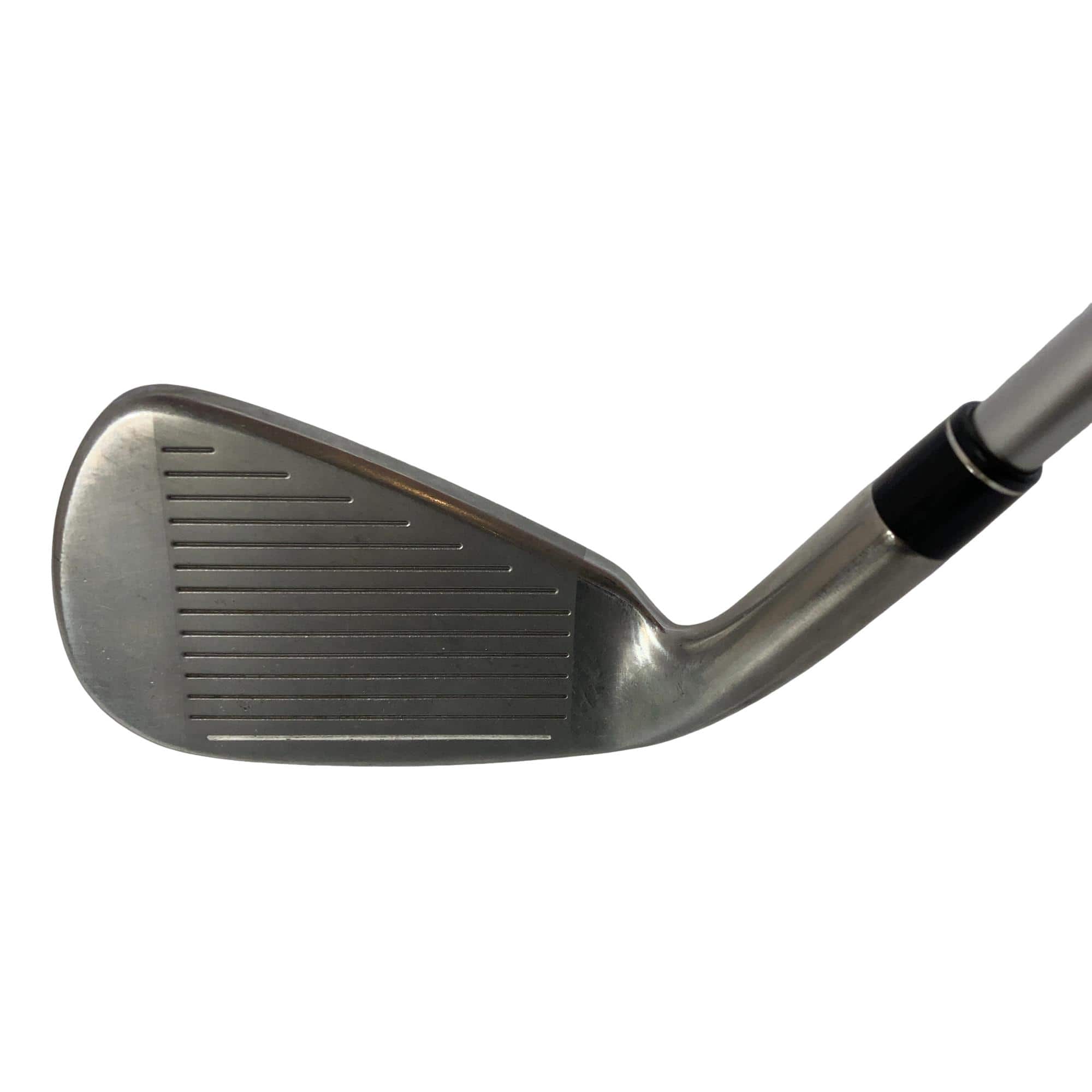 �l�S�@�U�r�@���f�B�[�X�@�t�r�`�i���{���F�U�{�Z�b�g�j