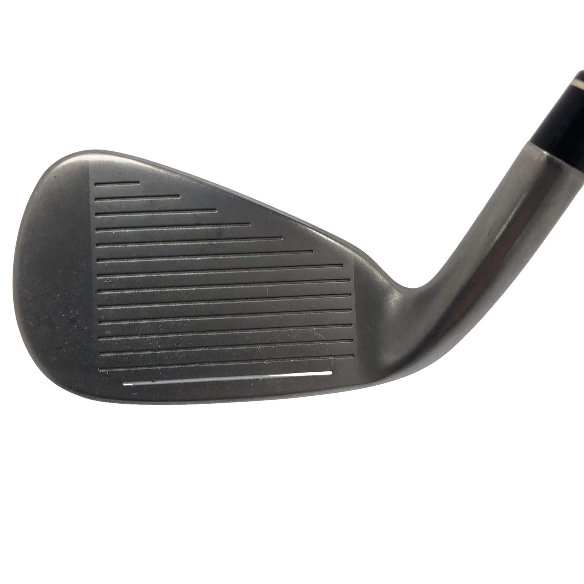 �q�a�y�@�@�T�r�@���f�B�[�X�i���{���F�T�{�Z�b�g�j