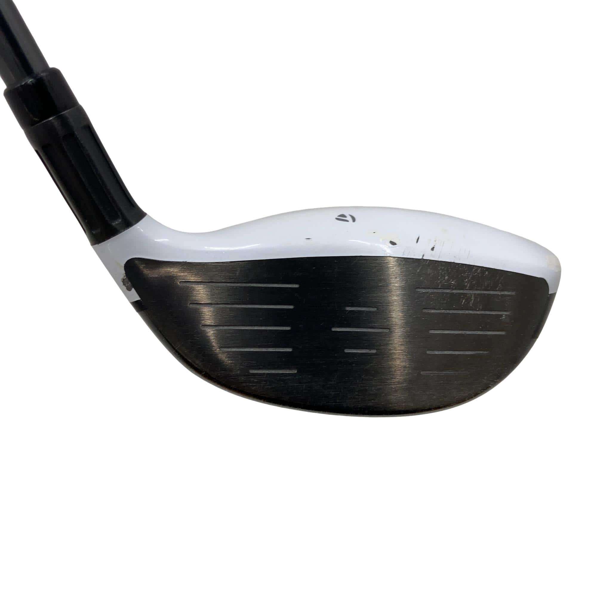 �l�Q�@�T�v�@���t�e�B