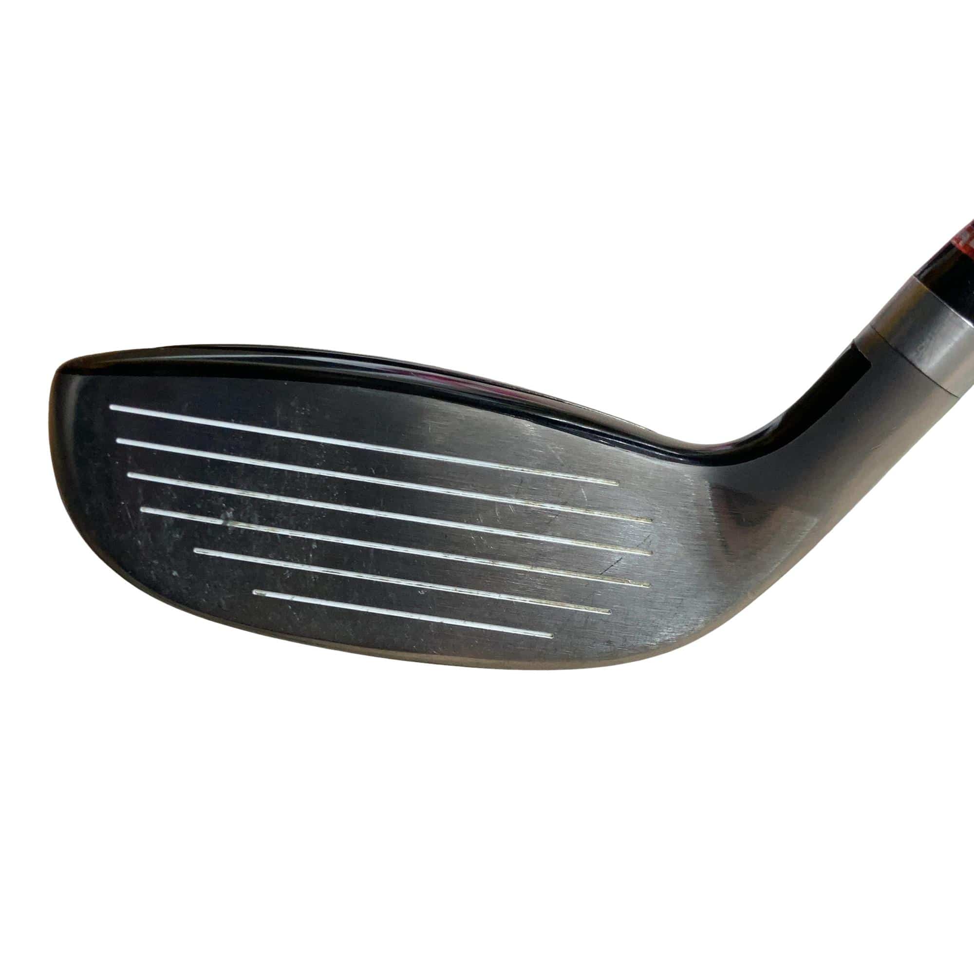 �q�n�c�c�h�n�@���[�e�B���e�B�i�Q�O�P�V�j�@�t�S