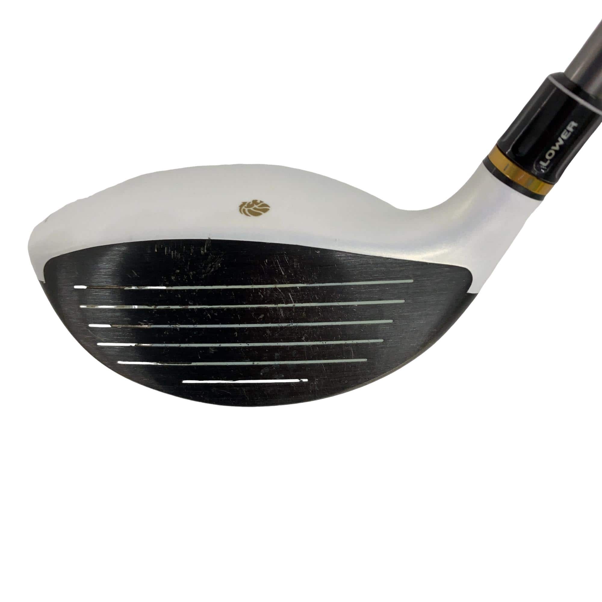 �f�k�n�h�q�d�@�T�v