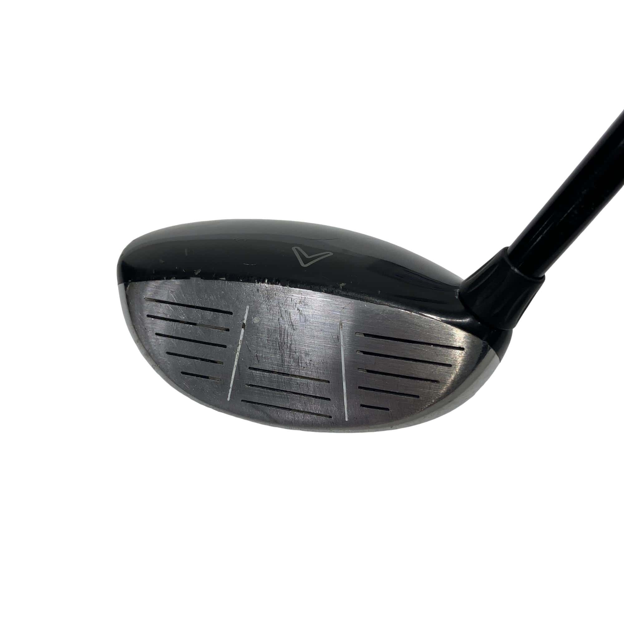 �w�@���[�e�B���e�B�@�S�g�@���f�B�[�X�@�t�r�`